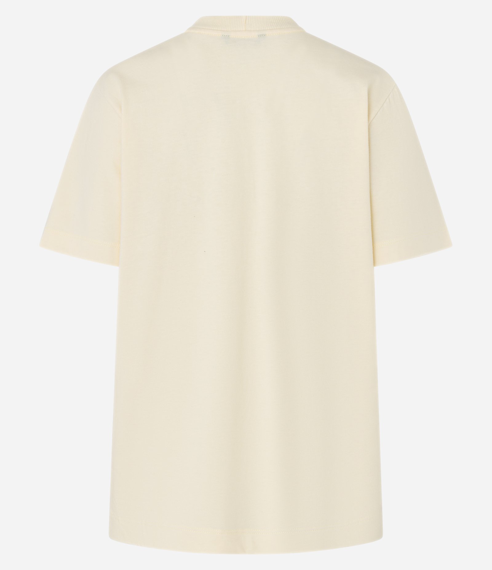 Camiseta T-Shirt em Algodão com Estampa Cesto de Flores Bege 6