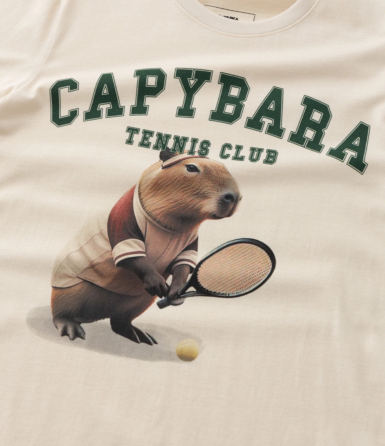Camiseta Infantil com Estampa de Capivara Tenista - Tam 5 a 14 Anos Bege 4