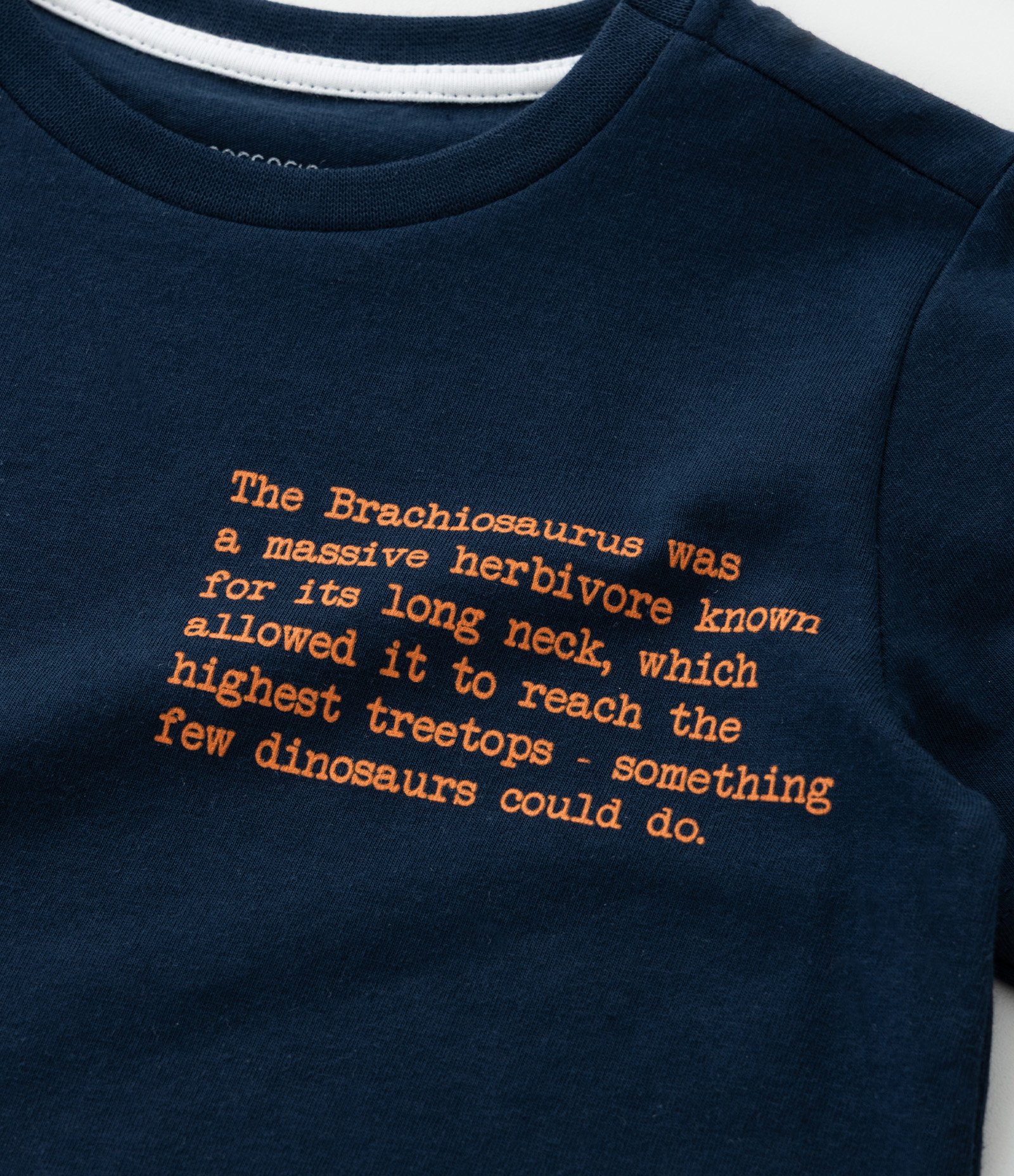 Pijama Curto Infantil com Estampa de  Dinossauro - Tam 2 a 4 Anos Preto 9