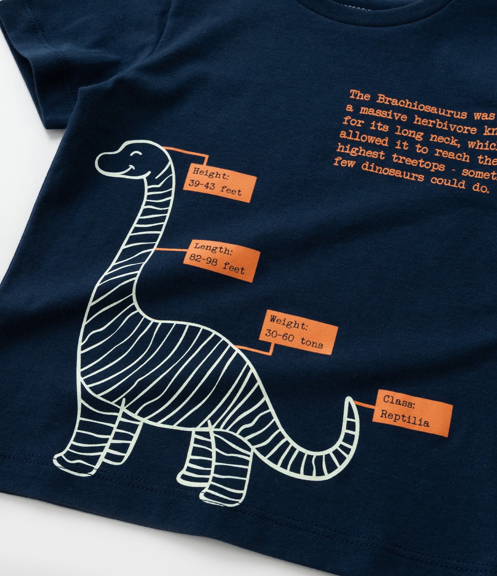 Pijama Curto Infantil com Estampa de  Dinossauro - Tam 2 a 4 Anos Preto 10