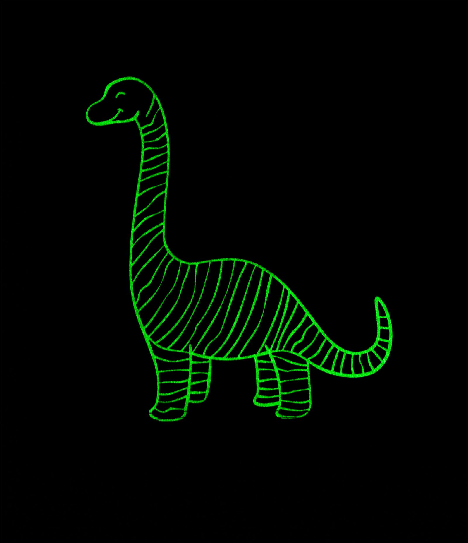 Pijama Curto Infantil com Estampa de  Dinossauro - Tam 2 a 4 Anos Preto 11