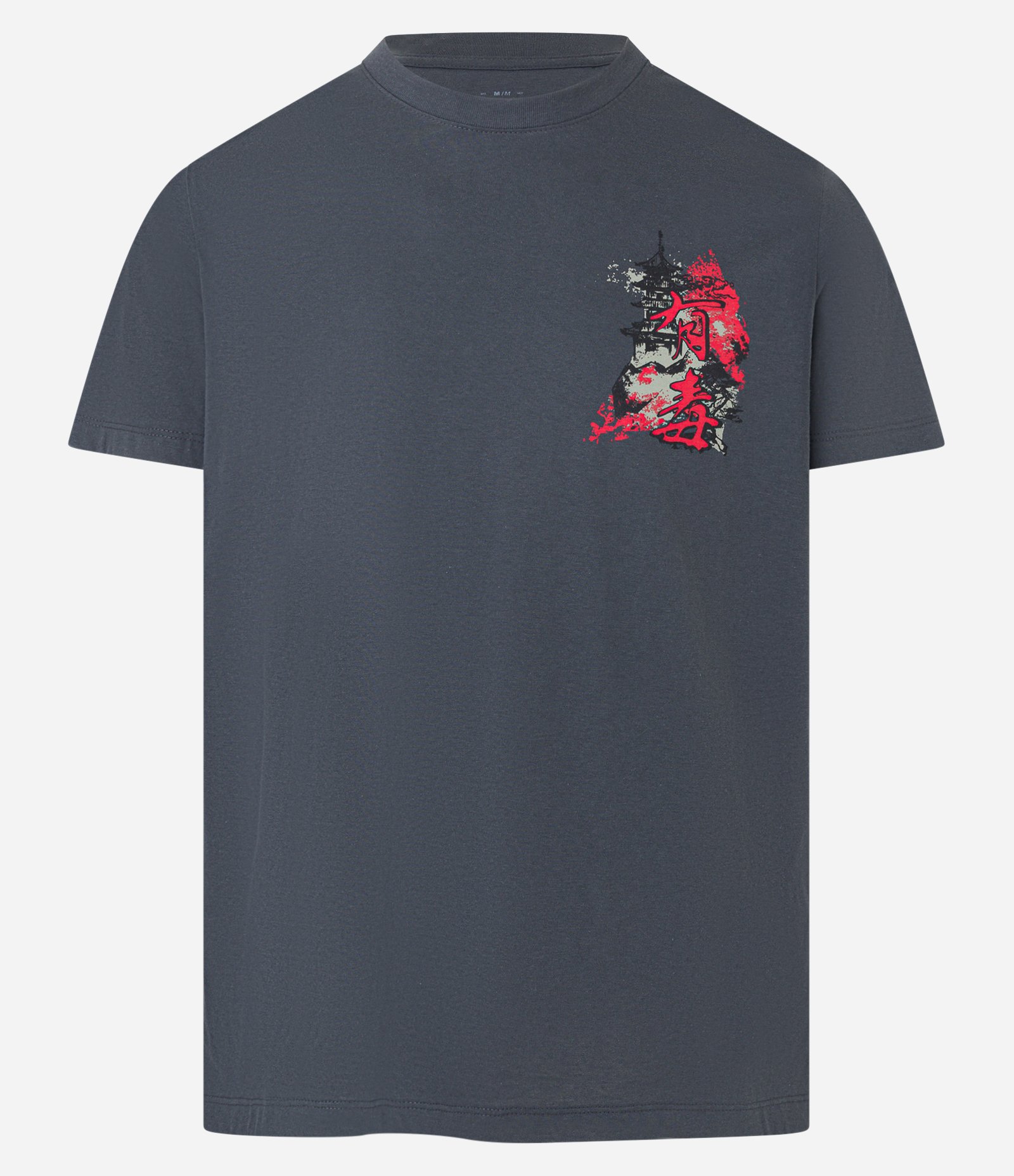 Camiseta Comfort em Algodão  com Estampa de Cobra Oriental Cinza 5