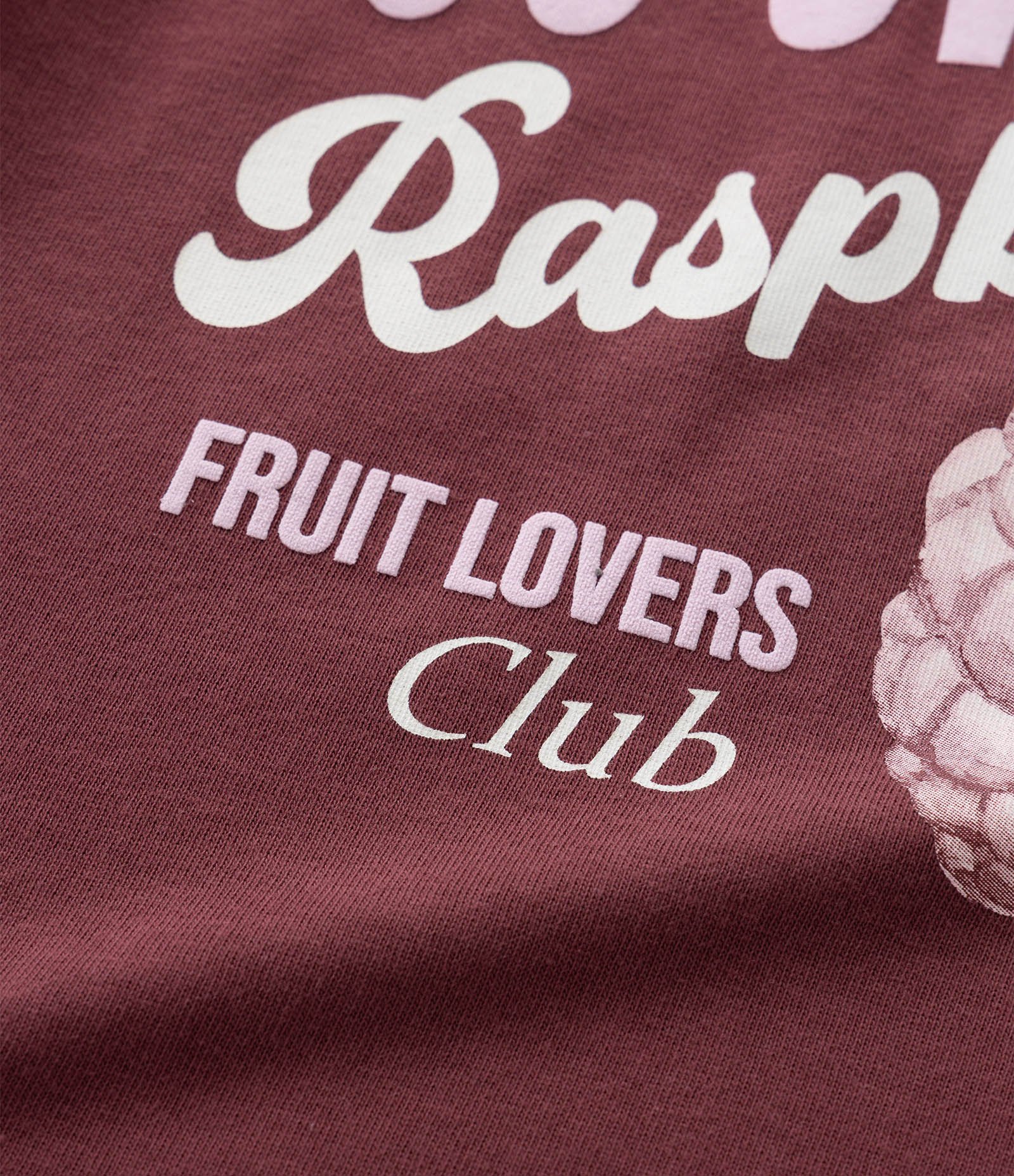 Camiseta Infantil com Estampa Fruta - Tam 5 a 16 Anos Vermelho 4