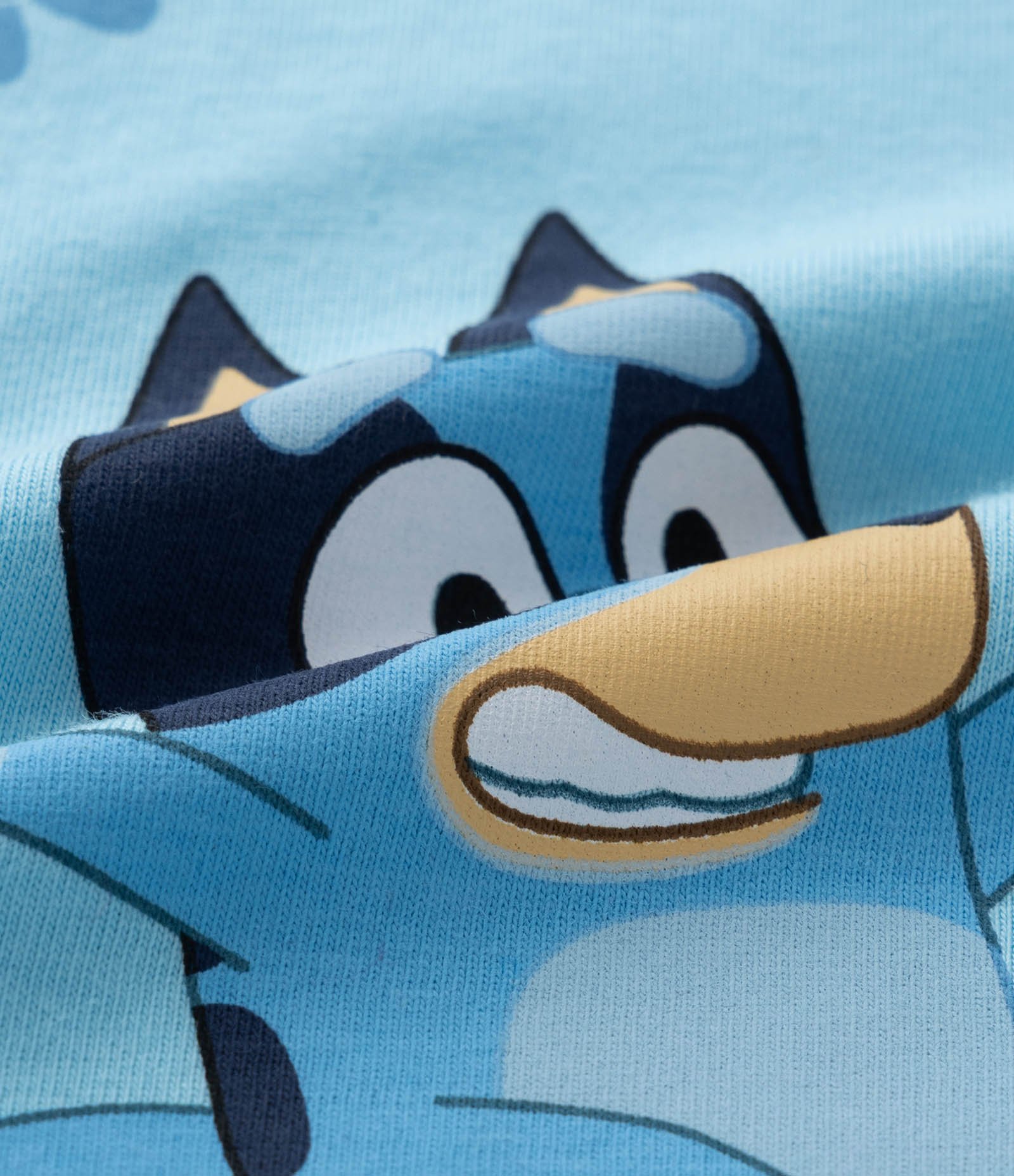 Blusa Infantil com Babadinho e Estampa Bluey - Tam 1 a 6 Anos Azul 3