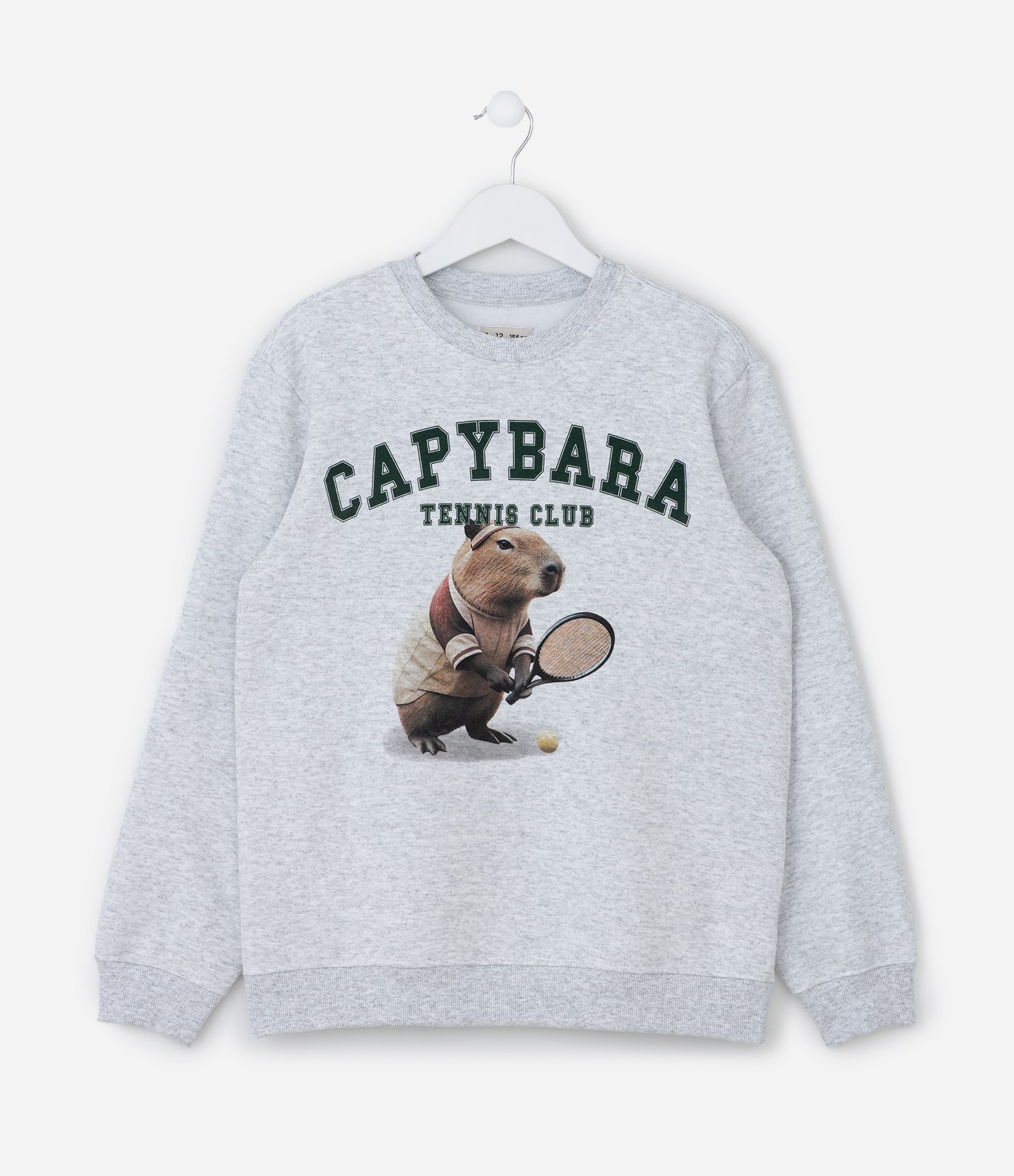Casaco Infantil em Moletom com Estampa Capivara Tenista - Tam 5 a 14 Anos Cinza 1