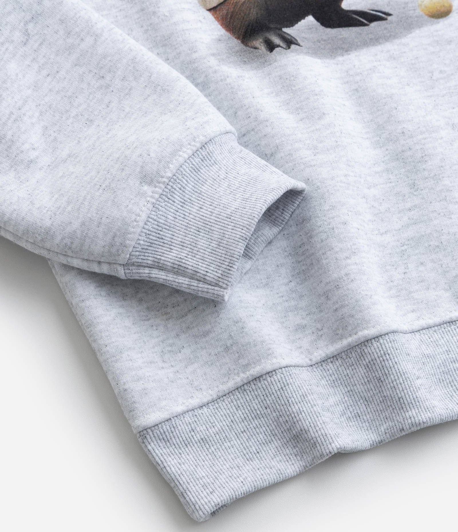 Casaco Infantil em Moletom com Estampa Capivara Tenista - Tam 5 a 14 Anos Cinza 5