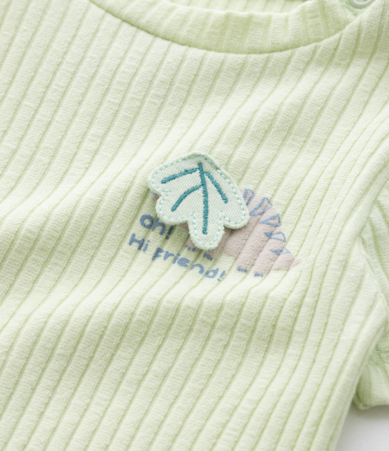 Body Infantil Canelado com Estampa Dinossauro - Tam 0 a 18 meses Verde 7