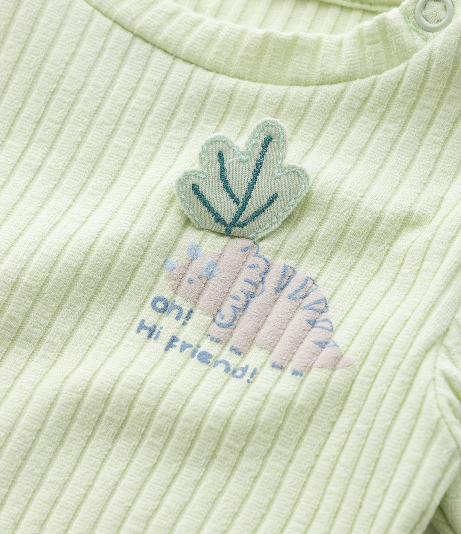 Body Infantil Canelado com Estampa Dinossauro - Tam 0 a 18 meses Verde 8