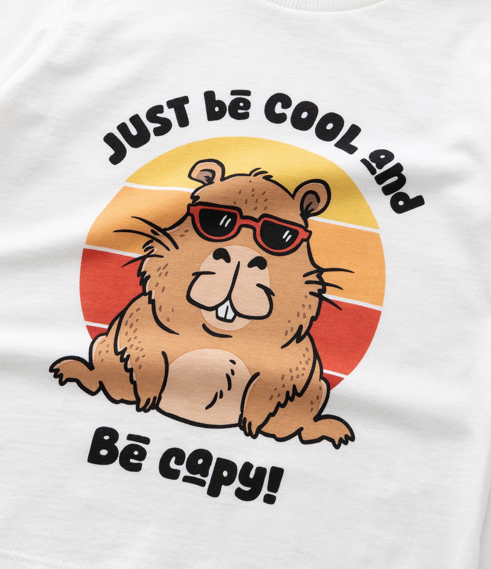 Camiseta Infantil com Estampa Capivara de Óculos - Tam 1 a 6 Anos Branco 5