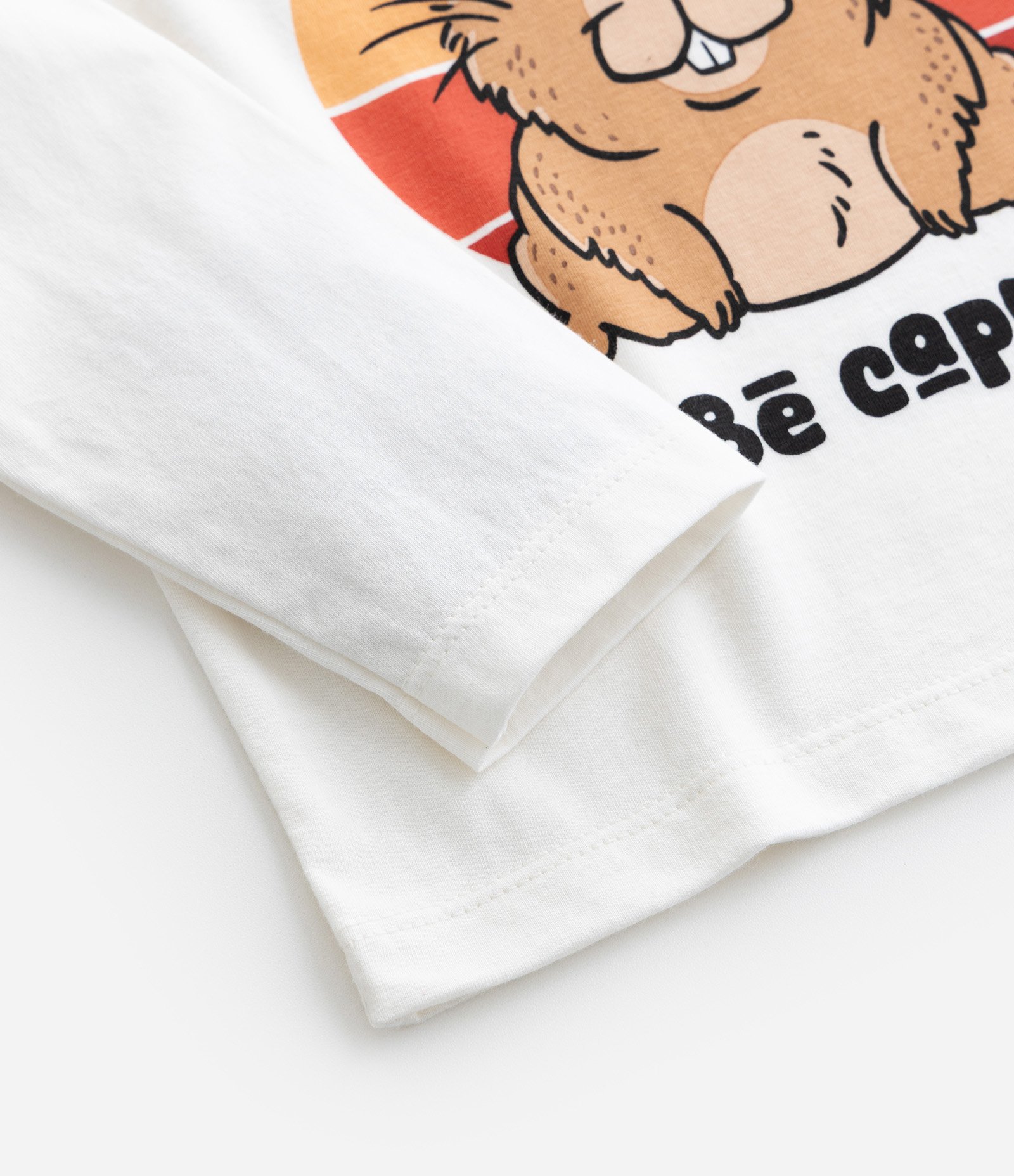 Camiseta Infantil em Algodão Estampa Capivara de Óculos - Tam 1 a 6 anos Branco 4