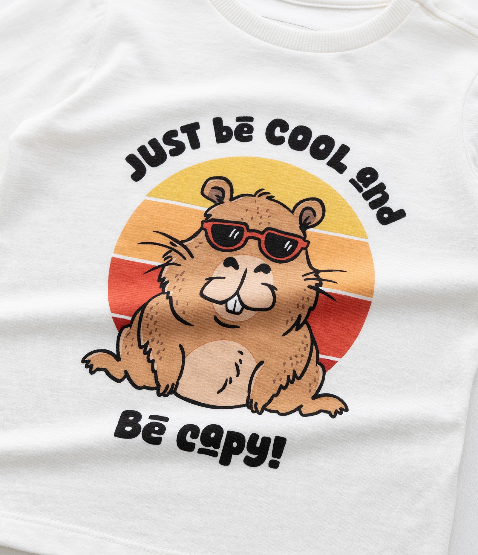 Camiseta Infantil em Algodão Estampa Capivara de Óculos - Tam 1 a 6 anos Branco 6