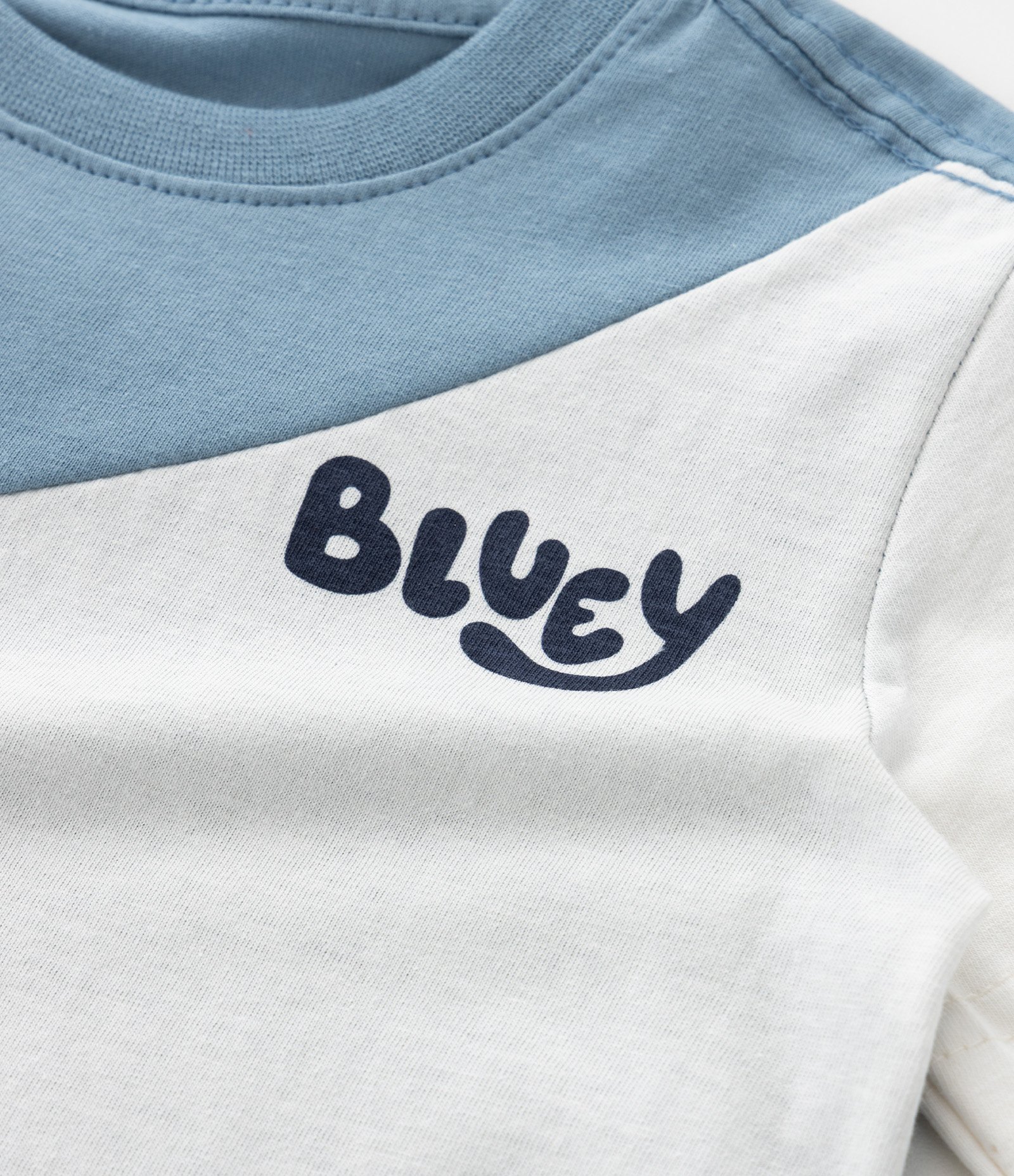 Camiseta Infantil Bluey & Bingo - Tam 1 a 6 Anos Azul 4