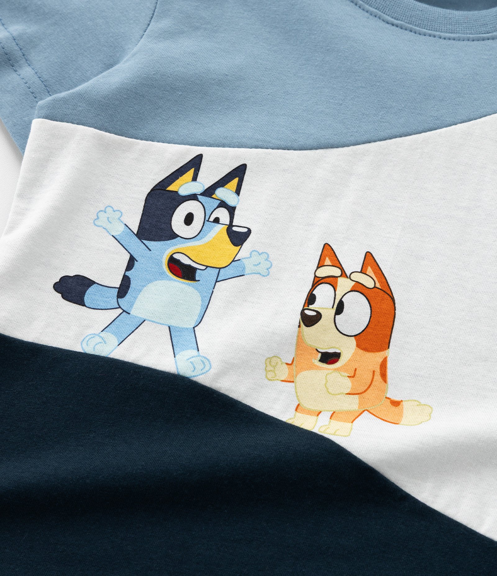Camiseta Infantil Bluey & Bingo - Tam 1 a 6 Anos Azul 5