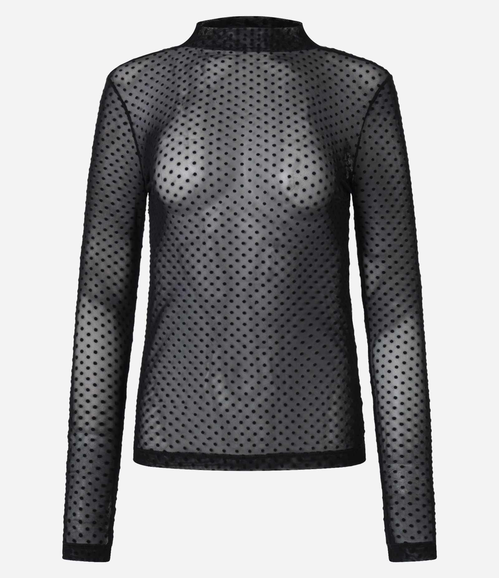 Blusa em Tule com Gola Alta e Textura Poá Flocada Preto 5