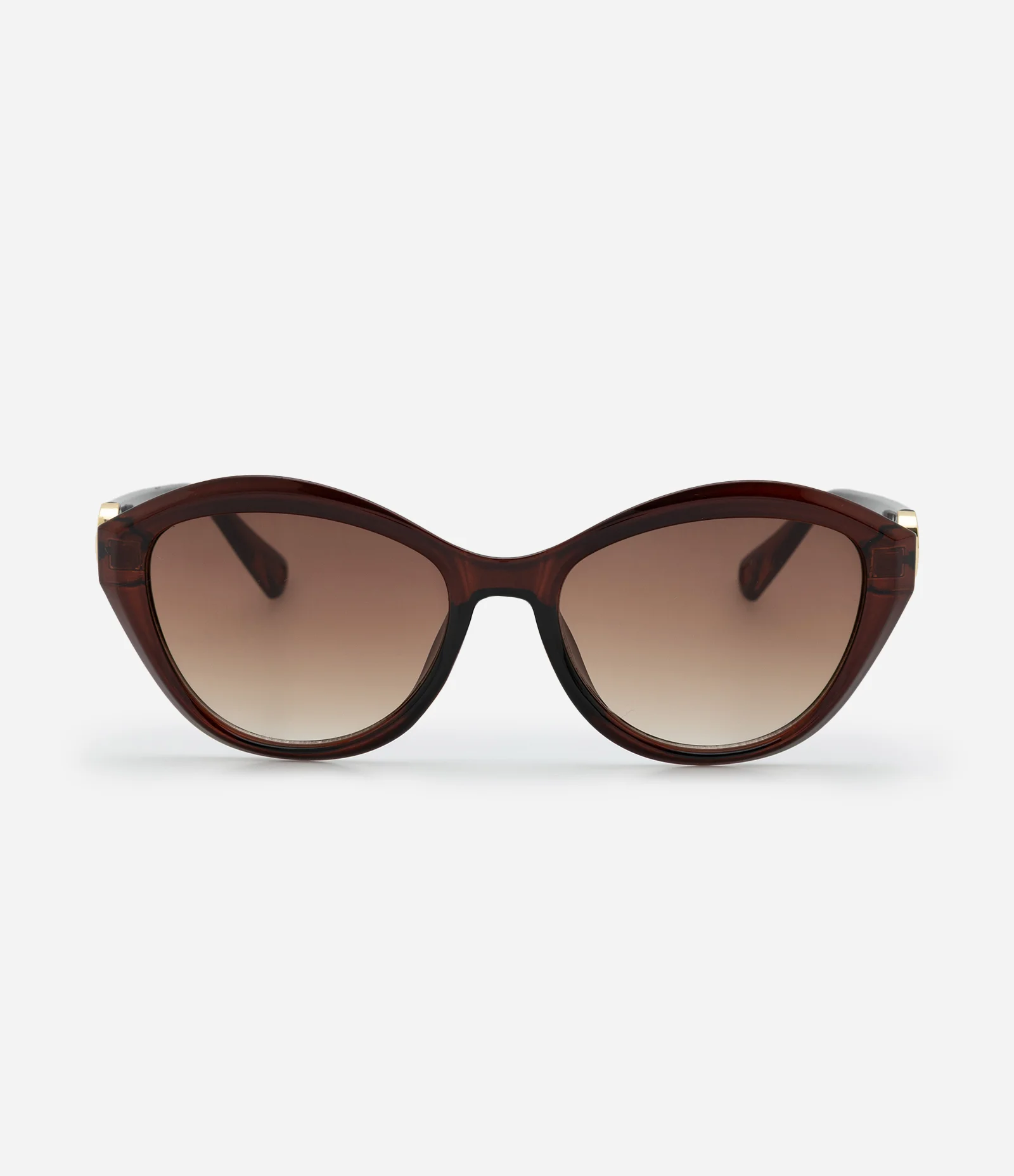 Óculos Geométrico com Detalhe Metalizado e Lente Degradê Marrom 2