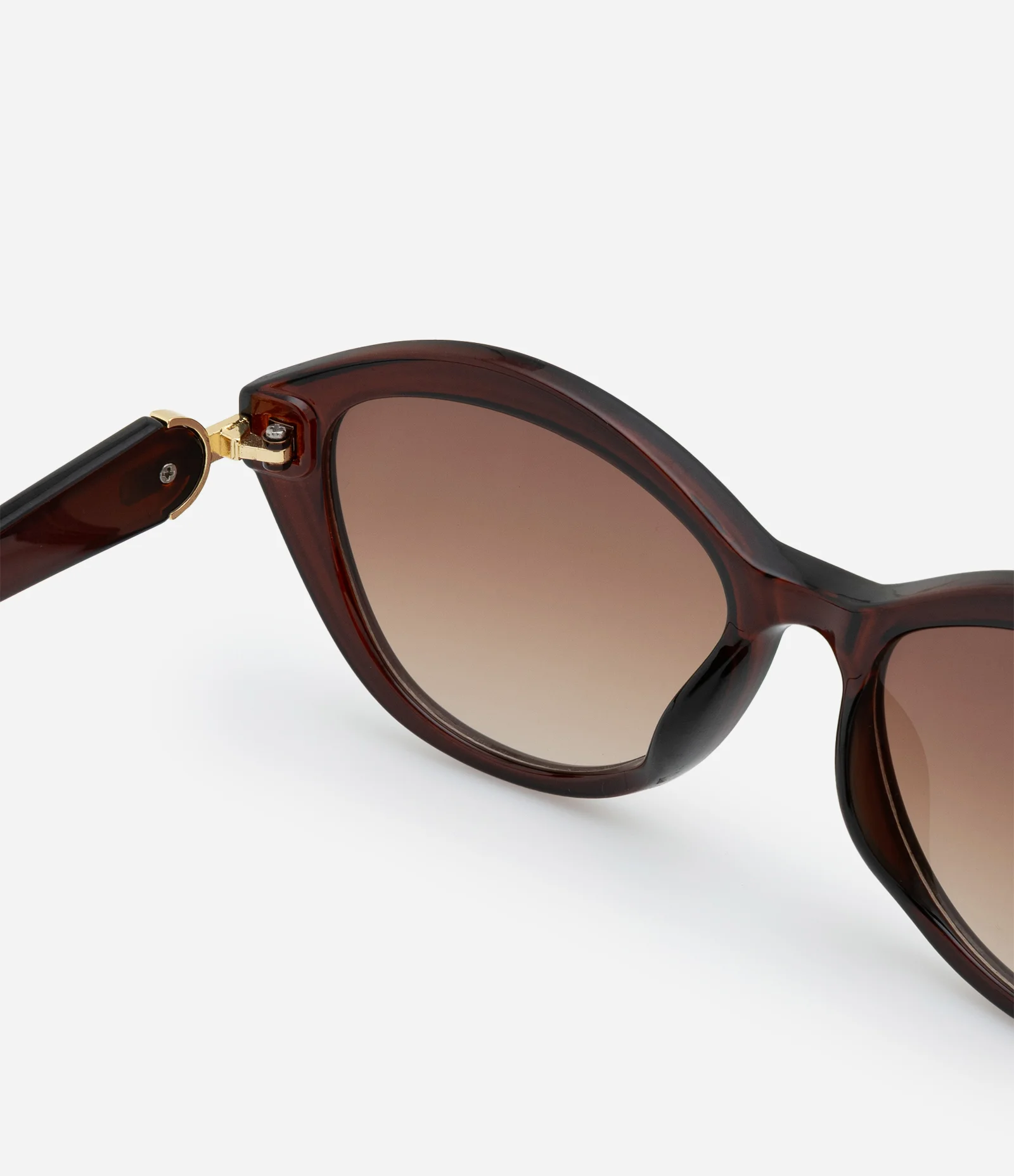 Óculos Geométrico com Detalhe Metalizado e Lente Degradê Marrom 3