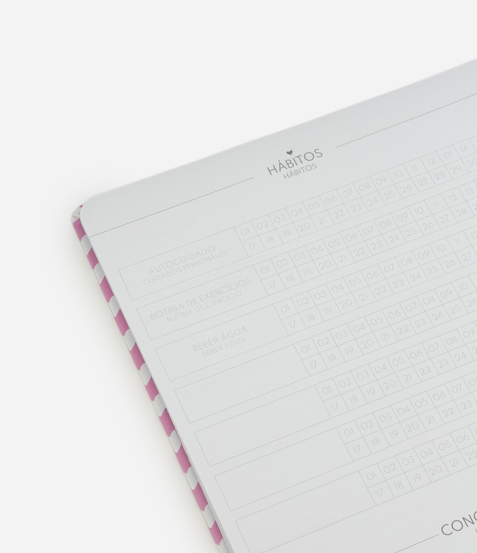 Planner de Capa Dura com Estampa Hello Kitty Rosa 3