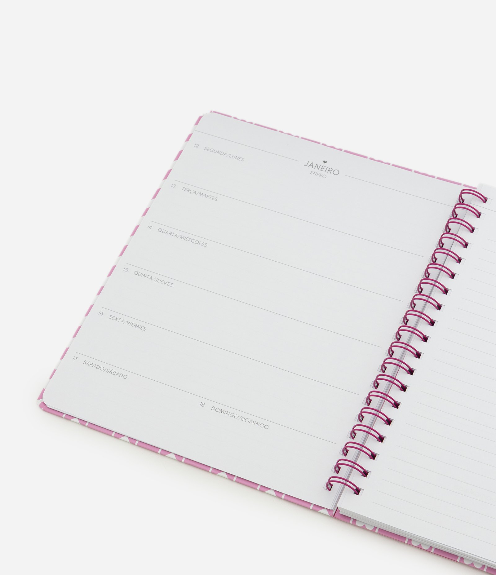 Planner de Capa Dura com Estampa Hello Kitty Rosa 4