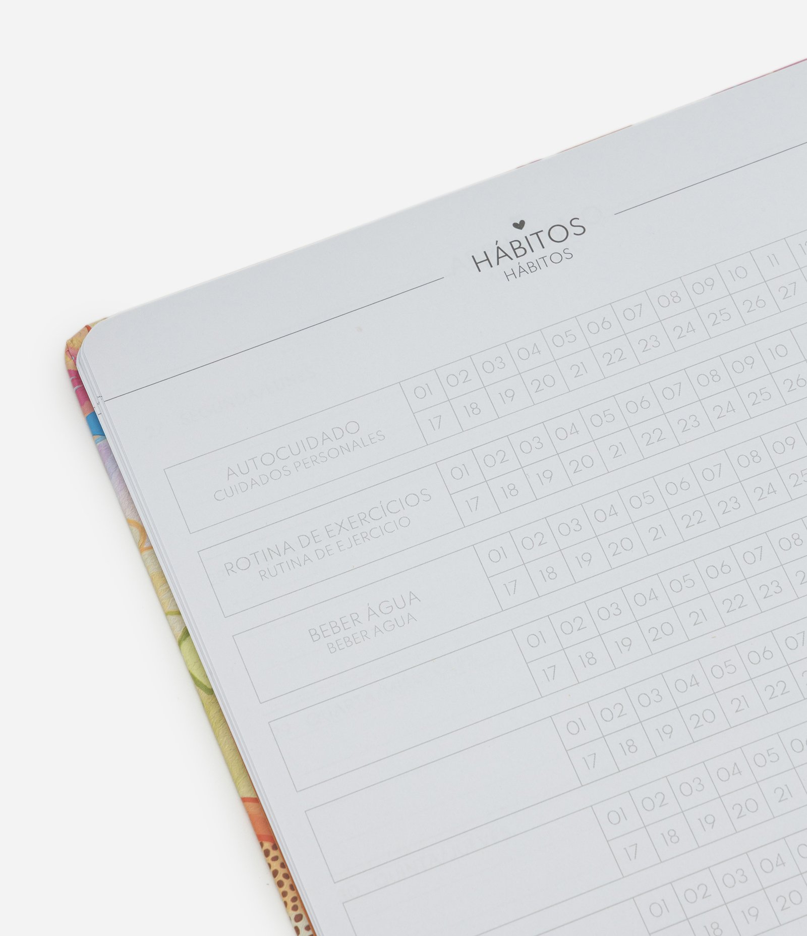 Planner de Capa Dura com Estampa Floral Multicores 3