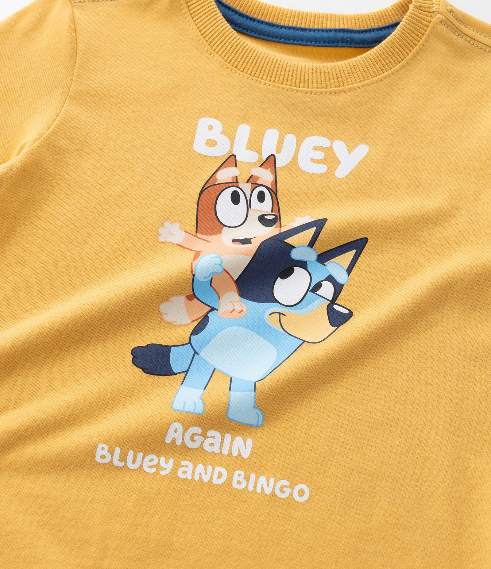 Camiseta Infantil com Estampa Bluey e Bingo - Tam 2 a 6 Anos Amarelo 6