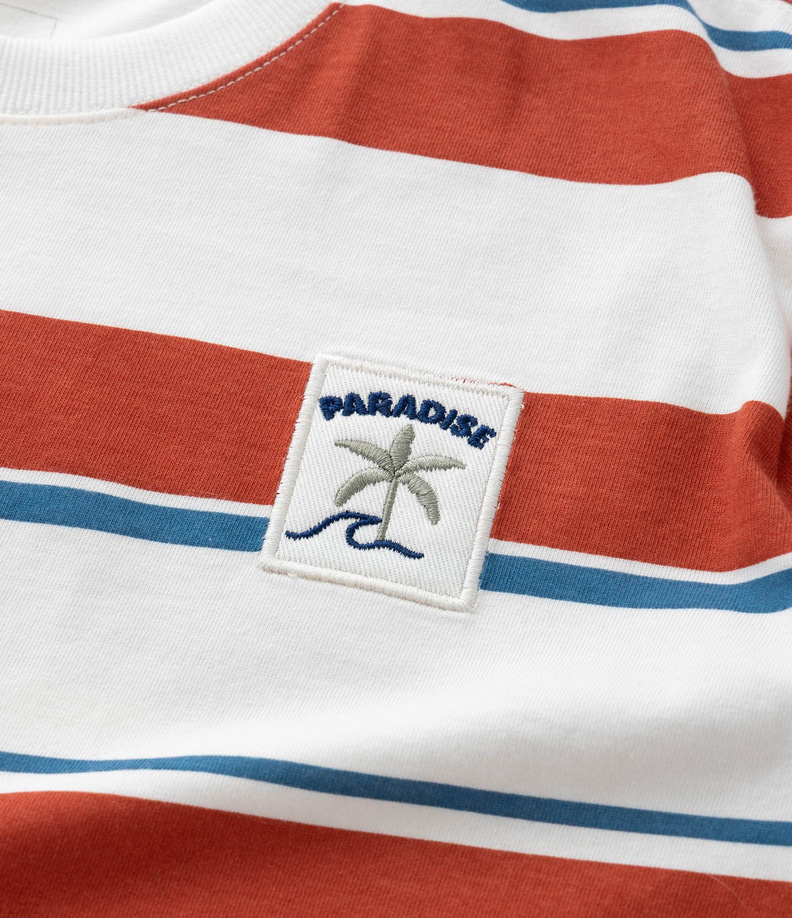 Camiseta Infantil com Estampa Listrada e Bordado - Tam 5 a 14 Anos Branco/Vermelho 5
