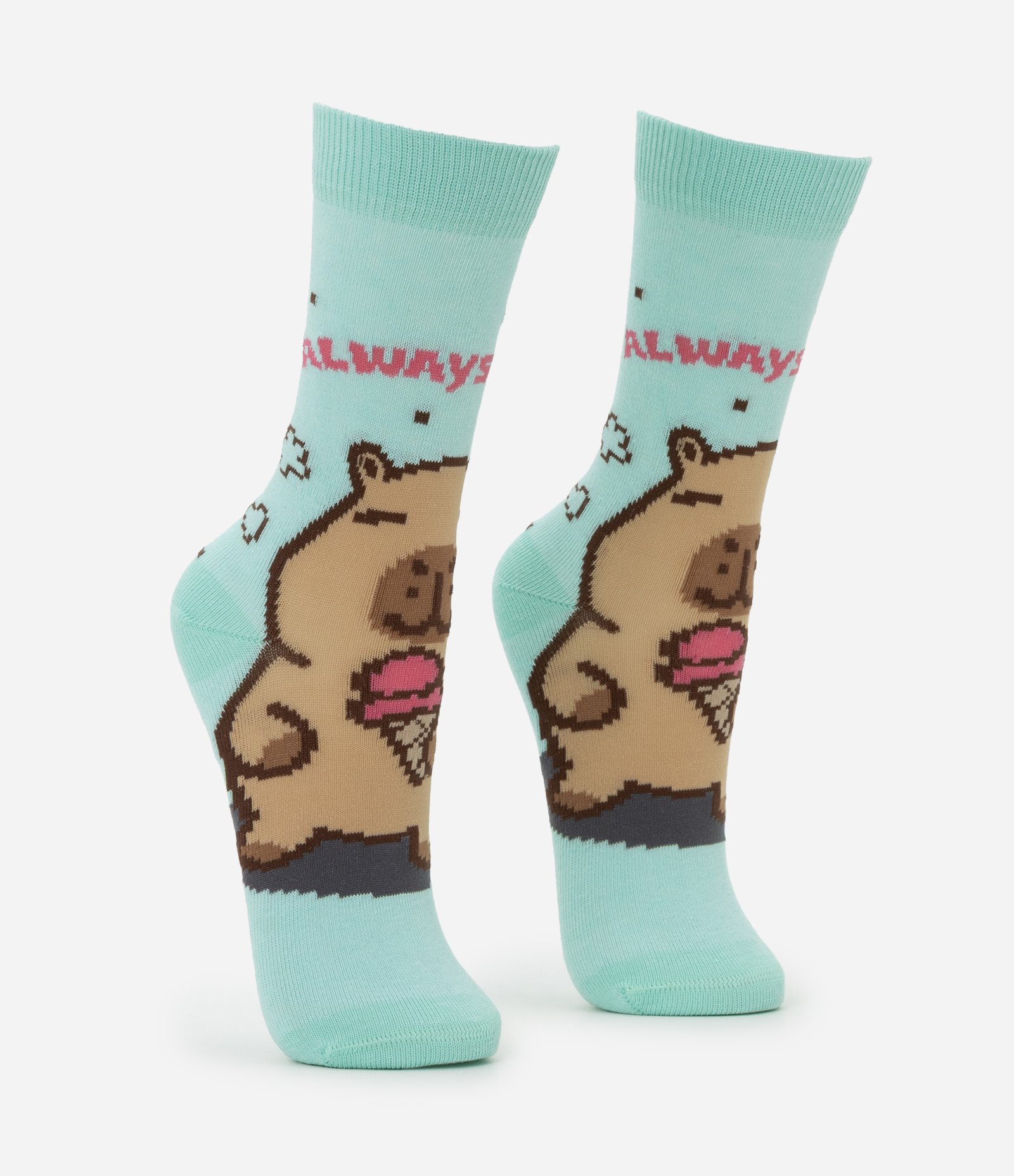 Meia Cano Alto em Algodão com Estampa Capivara Always Capy Verde 2