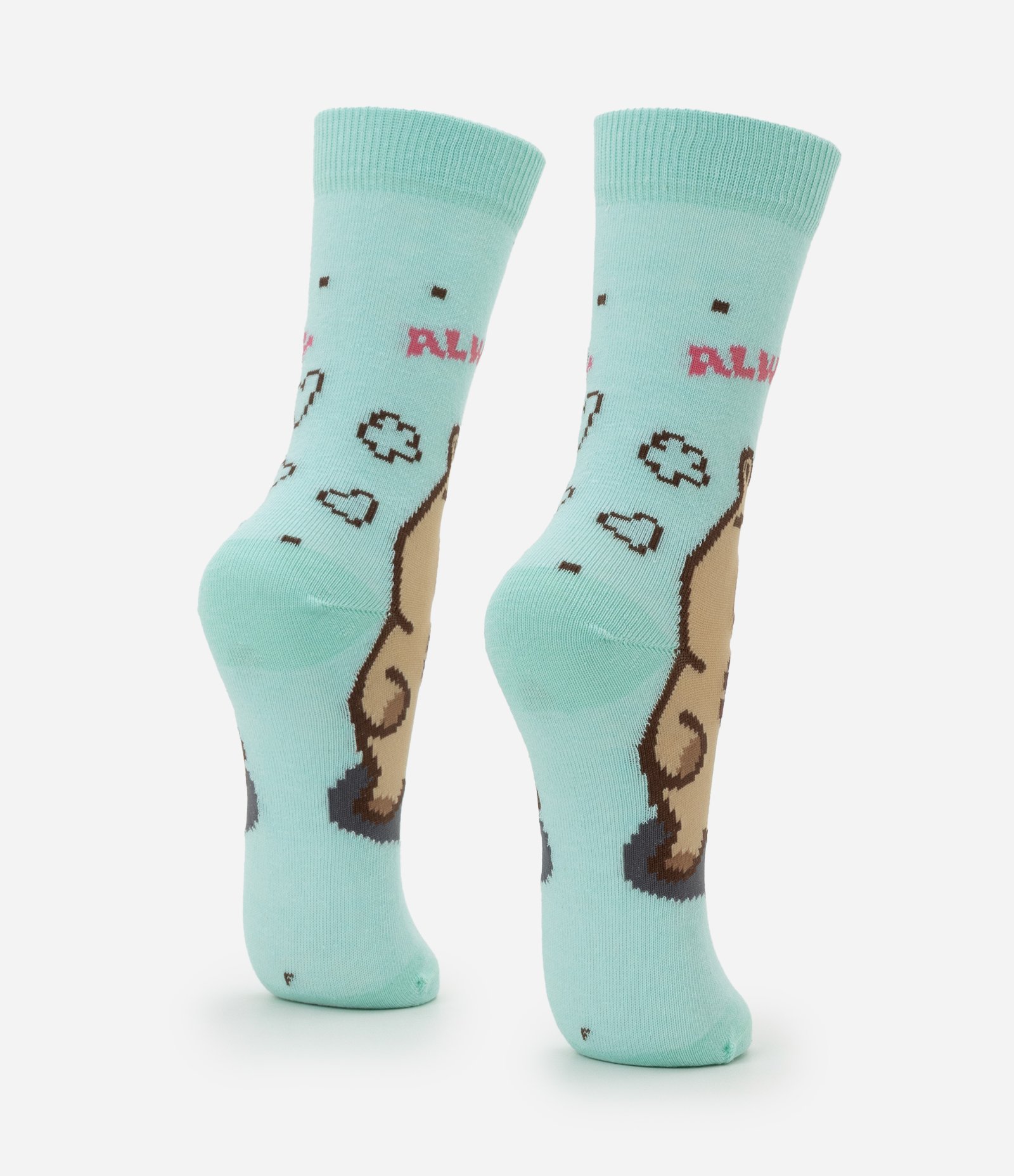 Meia Cano Alto em Algodão com Estampa Capivara Always Capy Verde 3