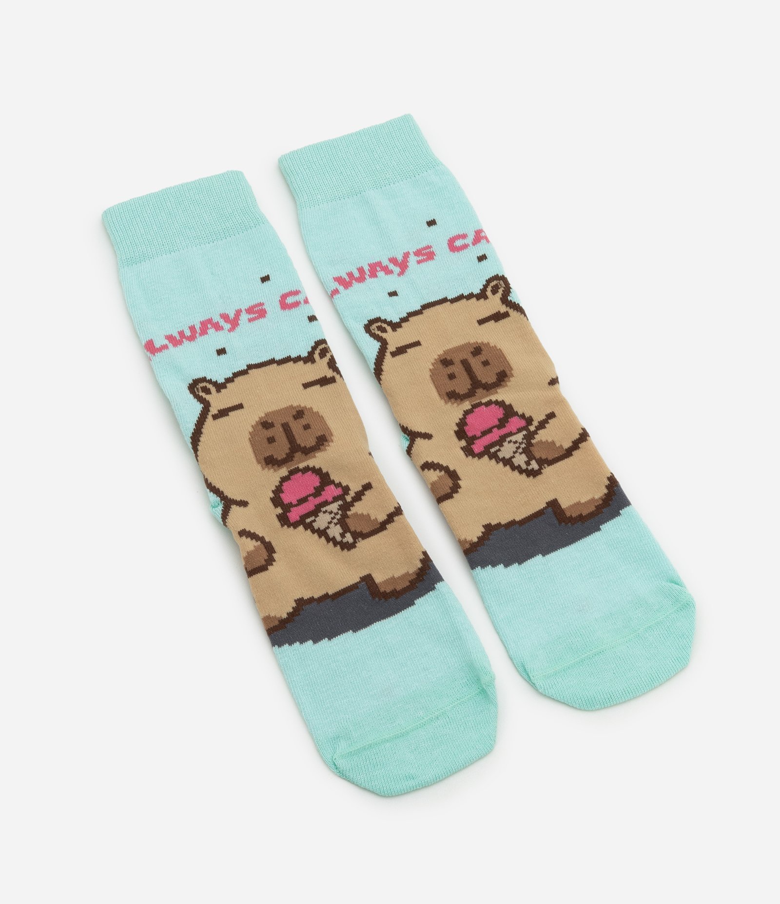 Meia Cano Alto em Algodão com Estampa Capivara Always Capy Verde 4