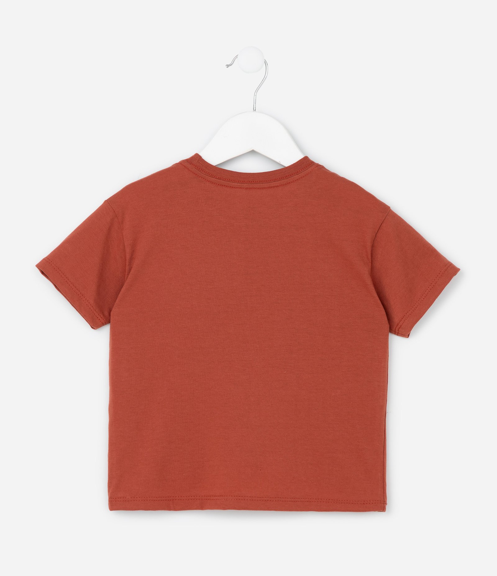 Camiseta Relaxed Infantil Estampa Rei Leão - Tam 2 a 6 Anos Marrom 3