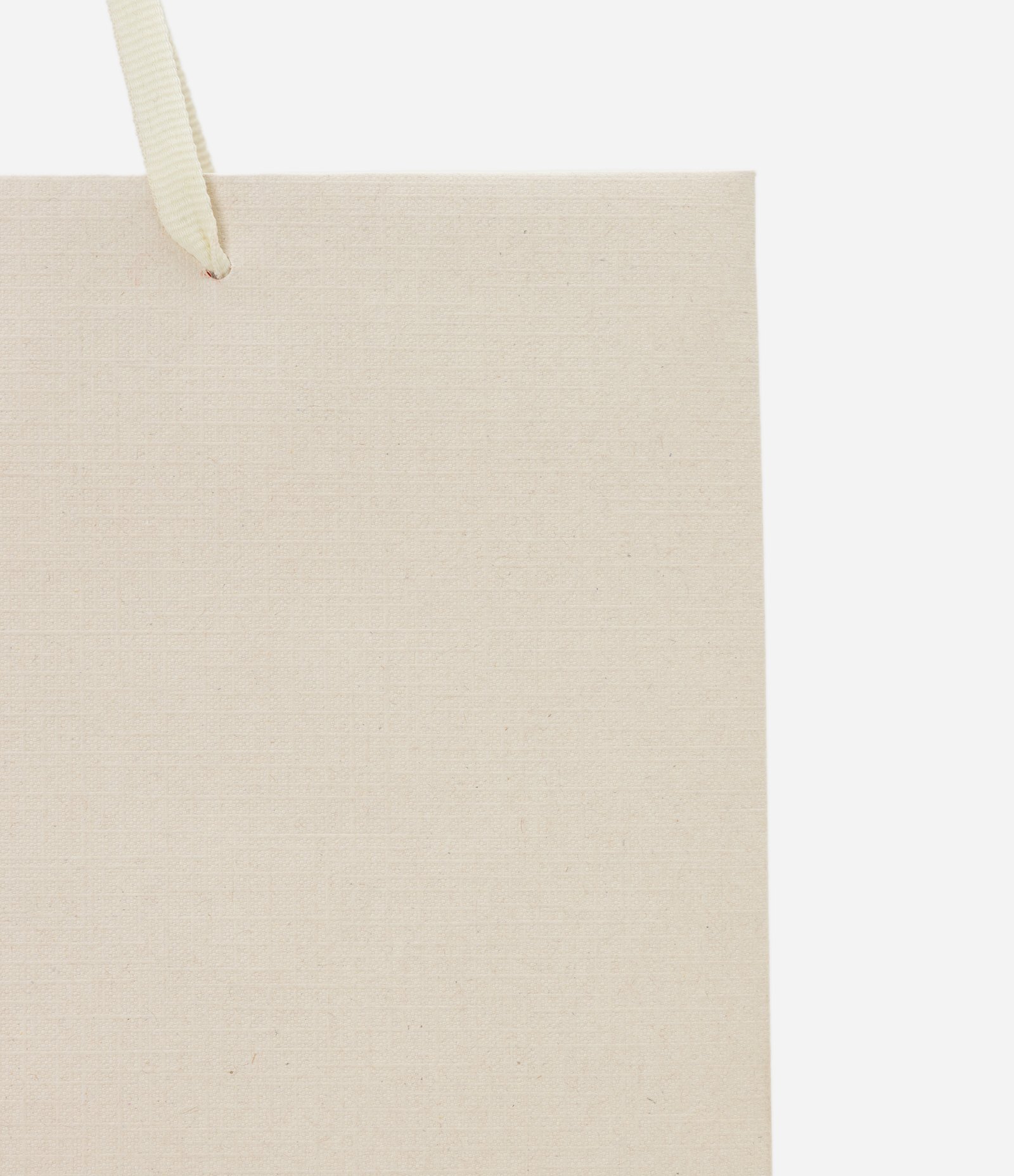 Embalagem de Presente Média com Alça Dupla Chata Bege 2