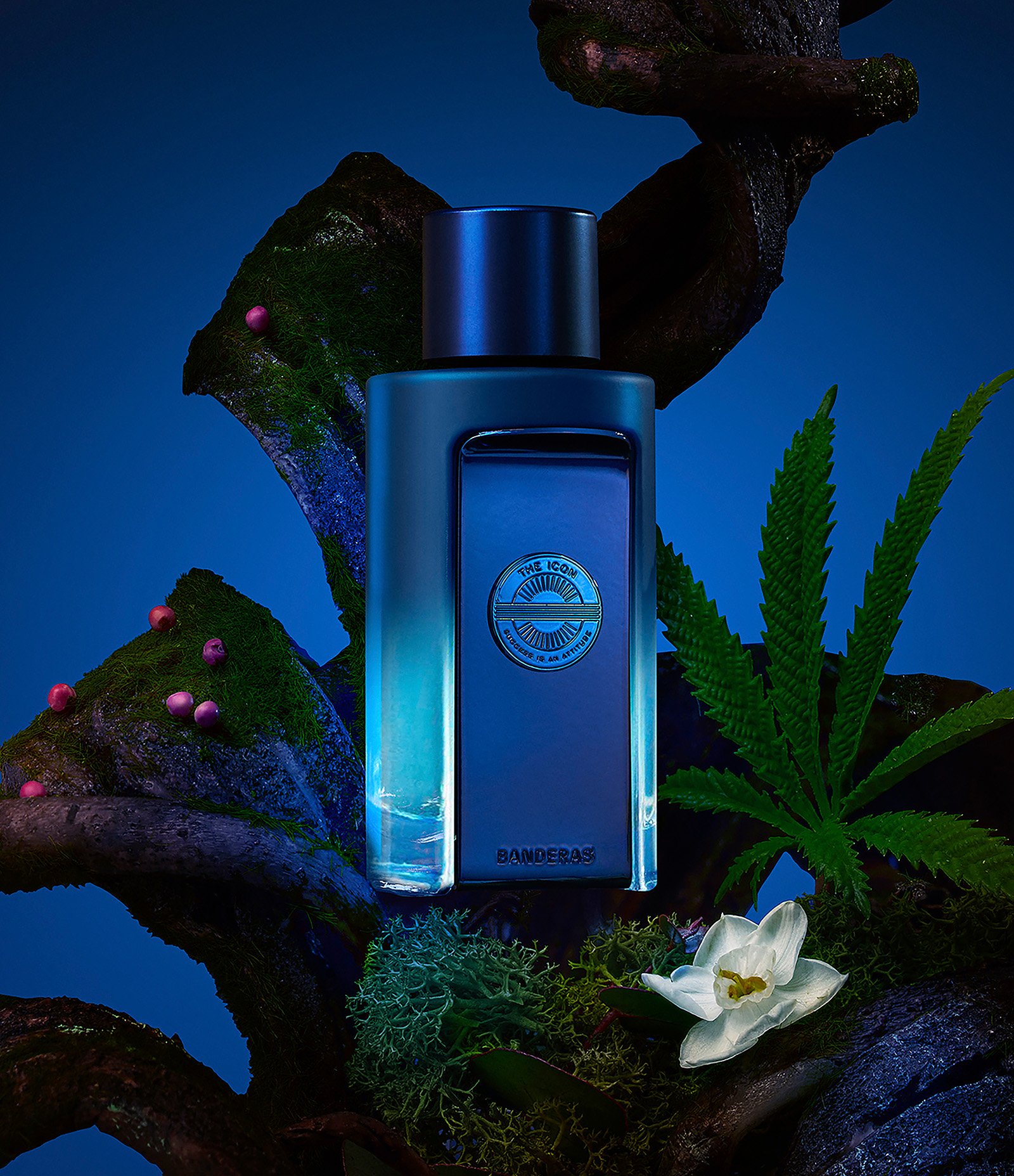 Perfume Banderas The Icon Supreme Eau de Parfum Intense Masculino 50ml 3