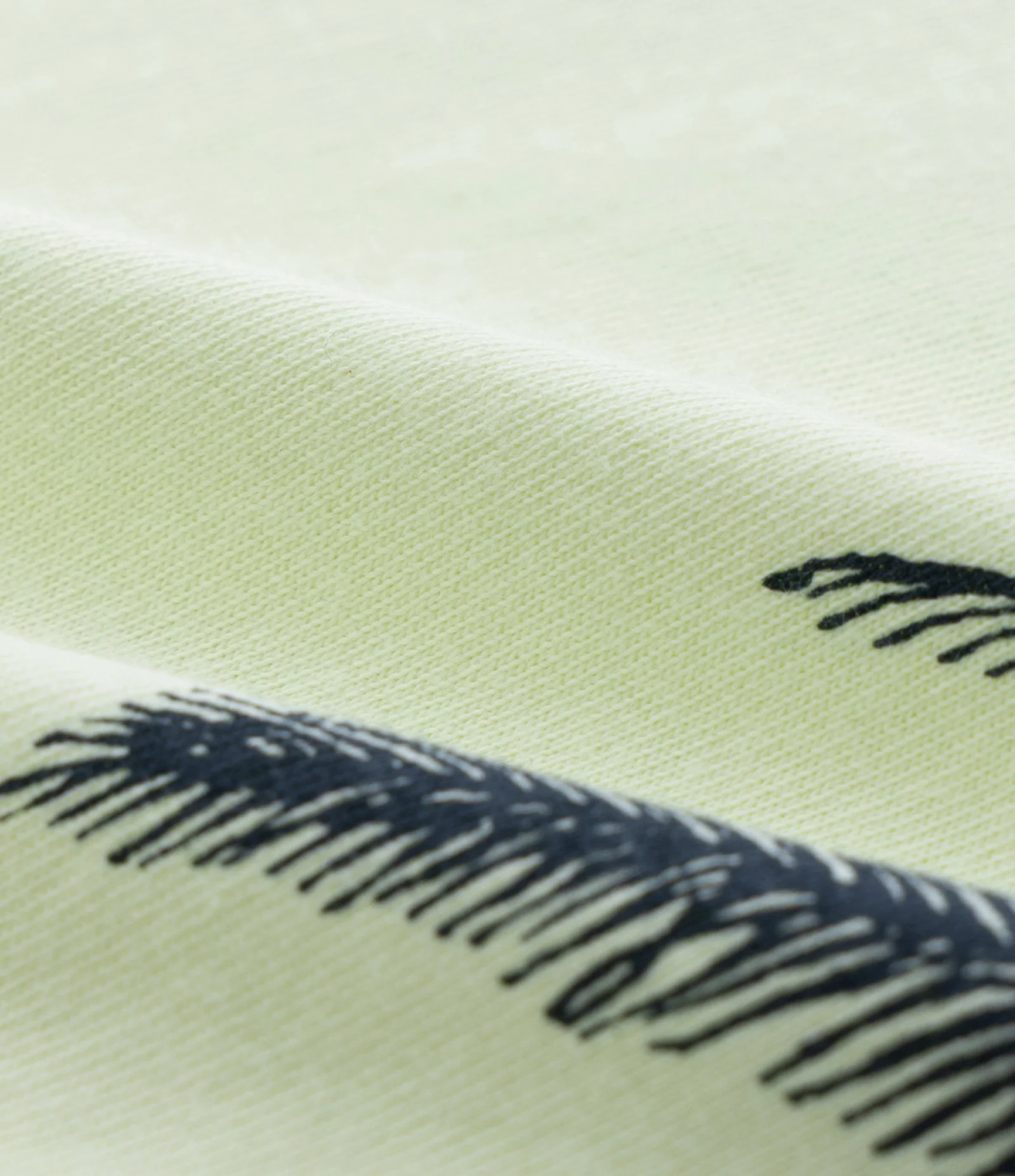 Camiseta Infantil com Lettering Palm Springs - Tam 5 a 14 Anos Verde 4