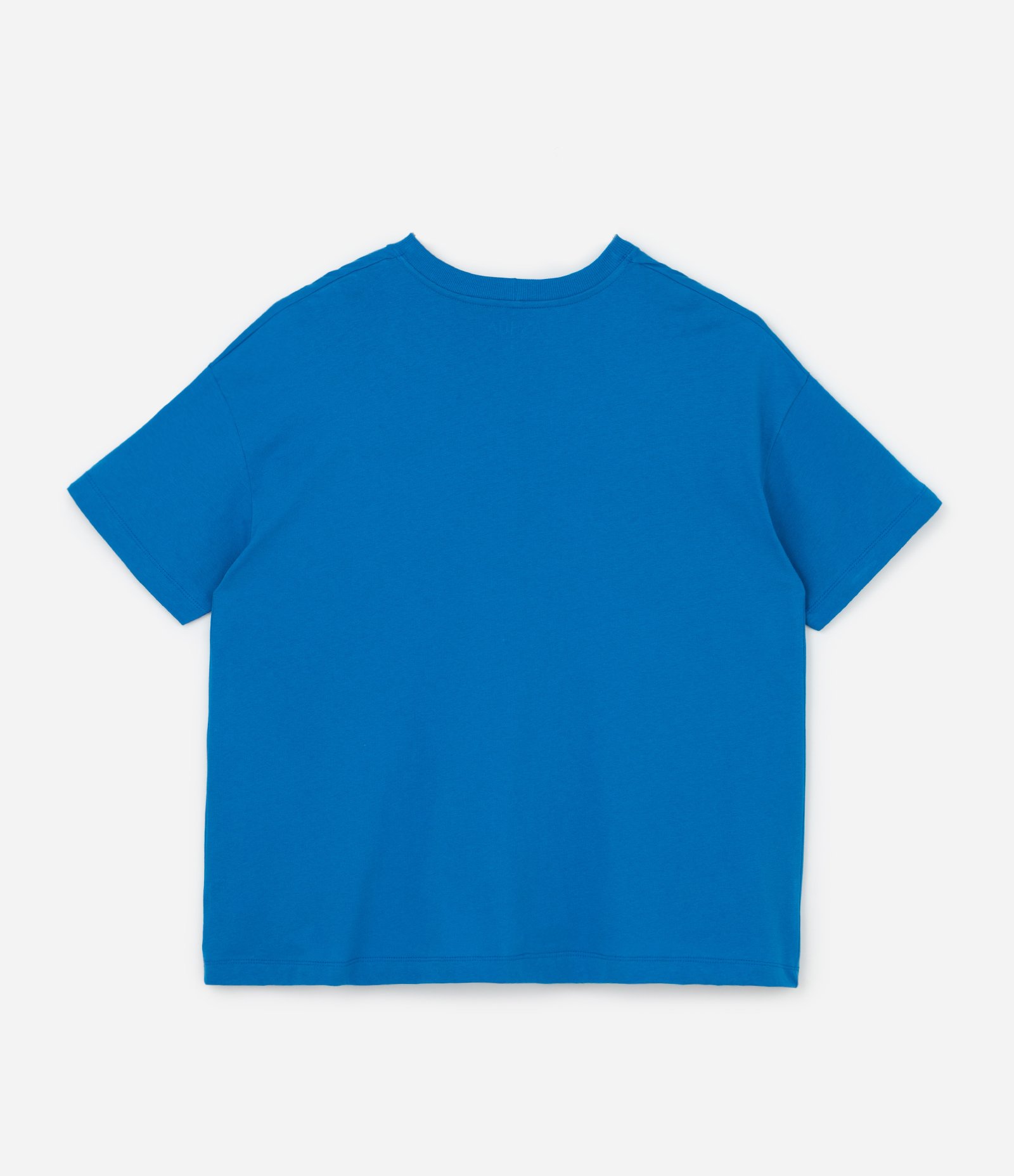 Camiseta Oversized em Algodão com Estampa Arara Tropical Curve & Plus Size Azul 6