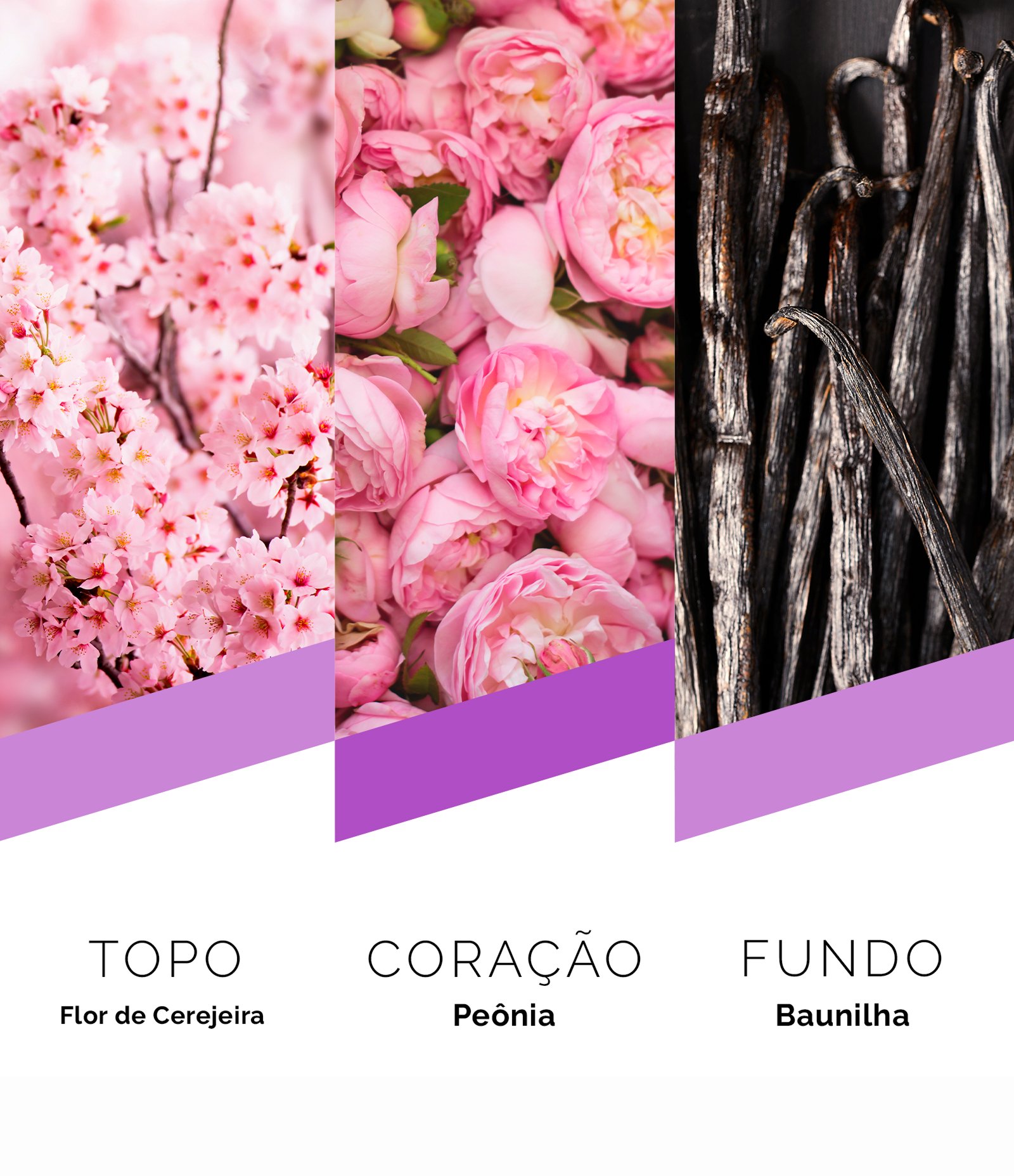 Perfume Prêt À Porter Tokyo Eau de Parfum Feminino  100ml 4