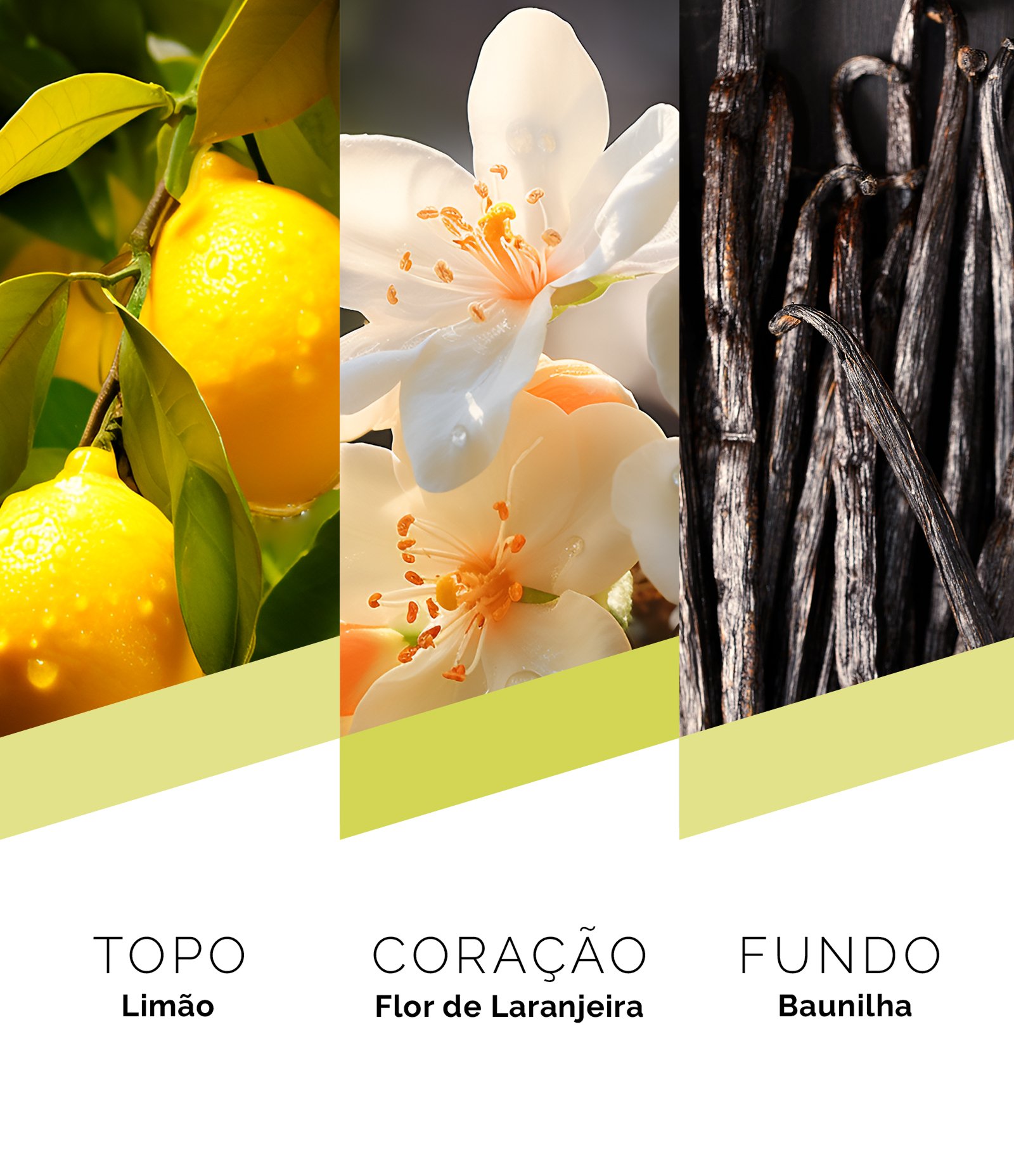 Perfume Prêt À Porter Milano Eau de Parfum Feminino  100ml 4