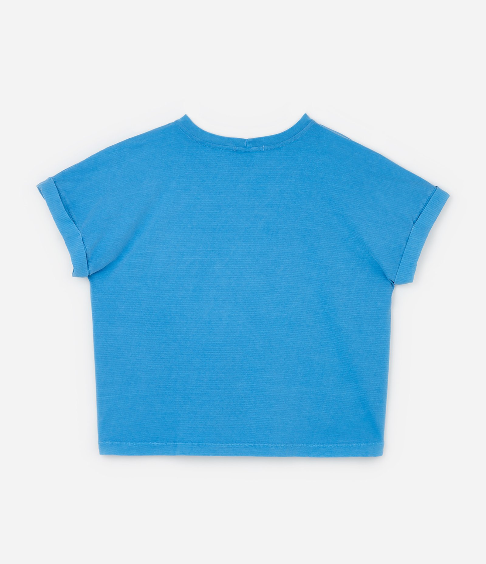 Blusa em Algodão com Bordado de Abacaxi e Manga Dobrada Curve & Plus Size Azul 2