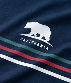 Camiseta Infantil com Listras e Urso -Tam 5 a 14 Anos