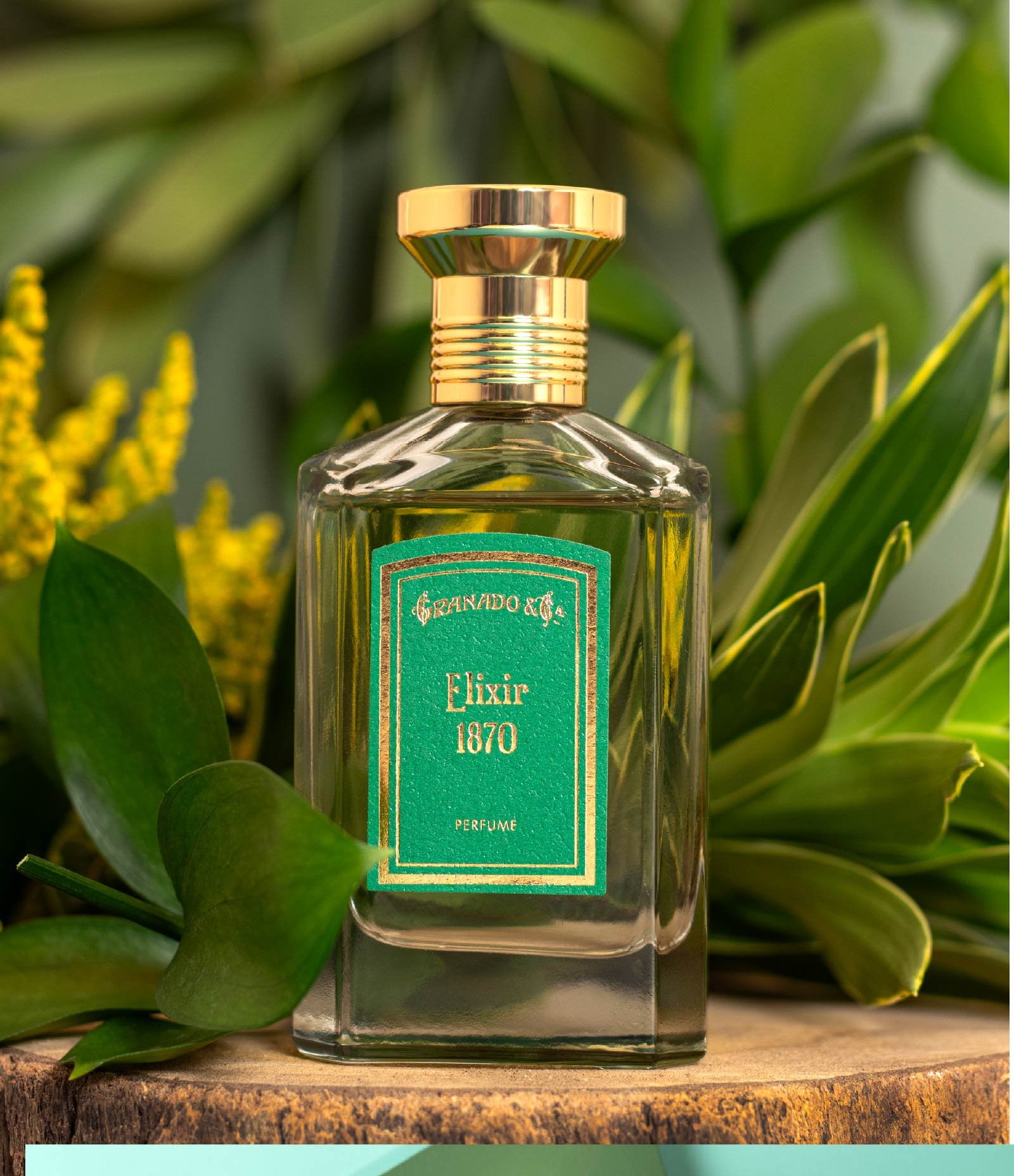 Perfume Granado Elixir 1870 Eau De Parfum 75ml 4