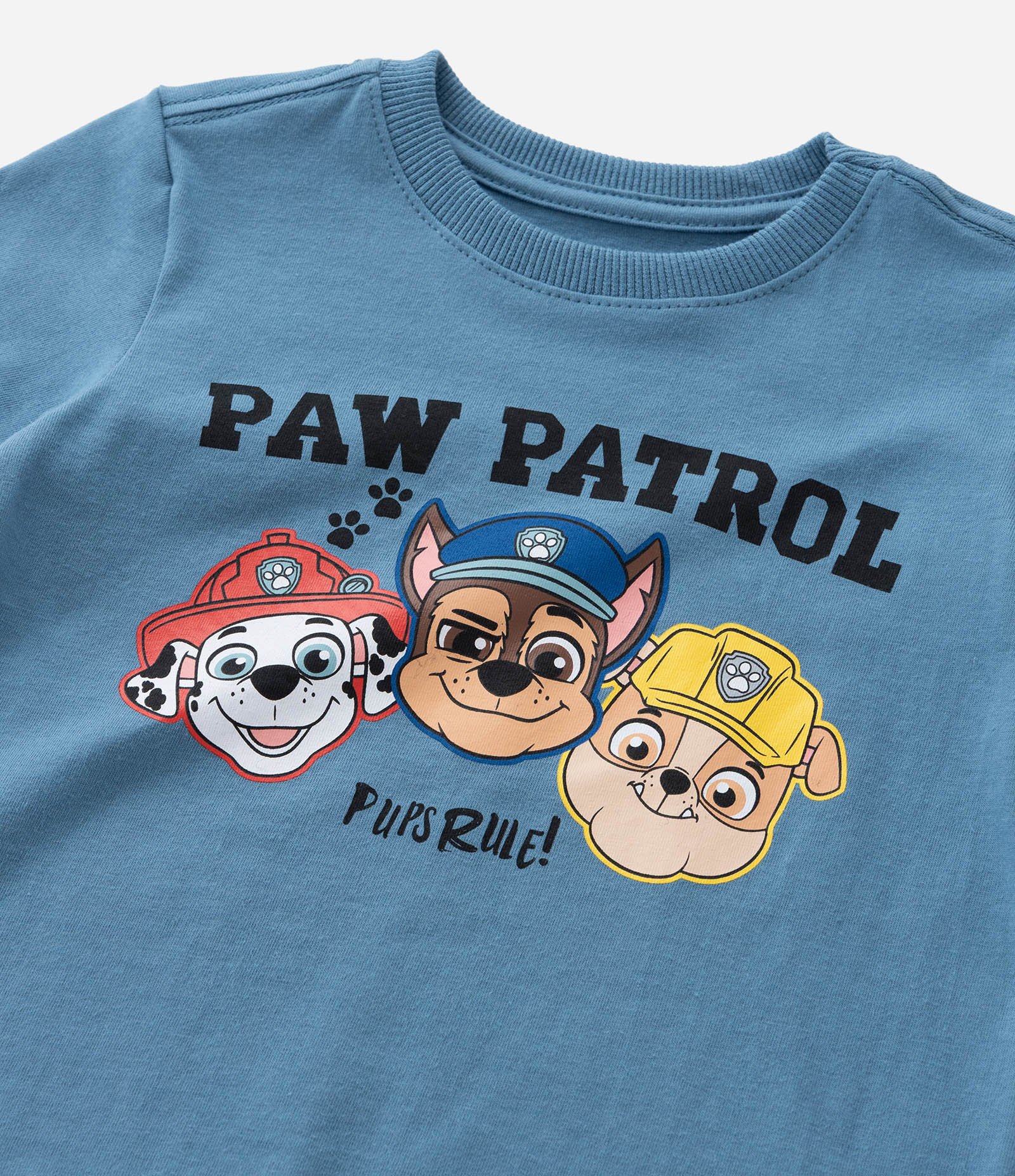 Conjunto Infantil com Estampa da Patrulha Canina - Tam 2 a 6 Anos Azul 11
