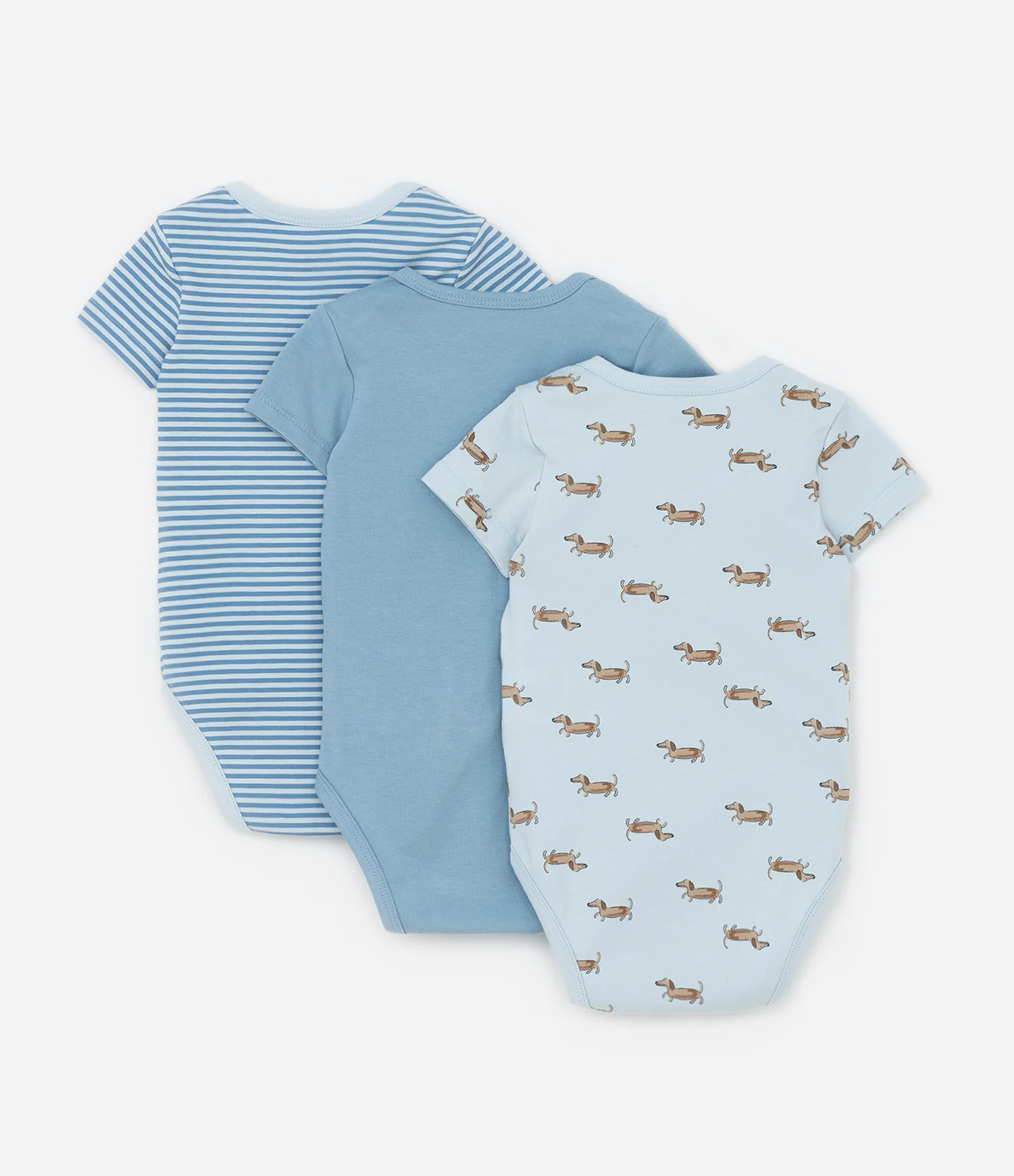 Kit 03 Bodies Cachorro Salsicha - Tam 0 a 18 Meses Azul 2