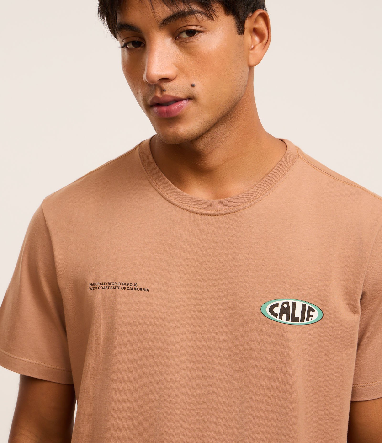 Camiseta Comfort em Algodão com Estampa Lettering Marrom 4