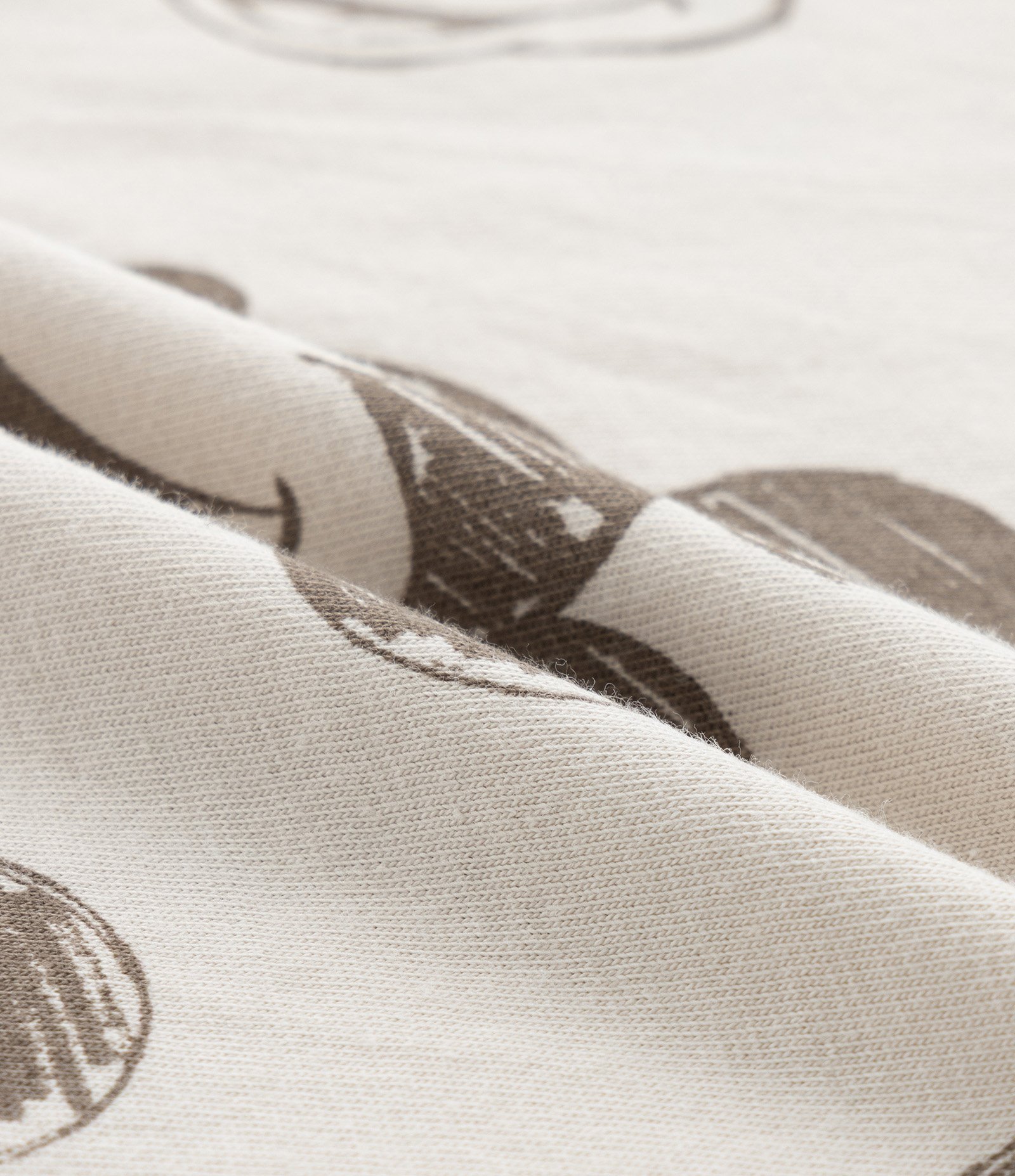 Conjunto Infantil em Moletom com Estampa Mickey - Tam 0 a 18 Meses Marrom 12