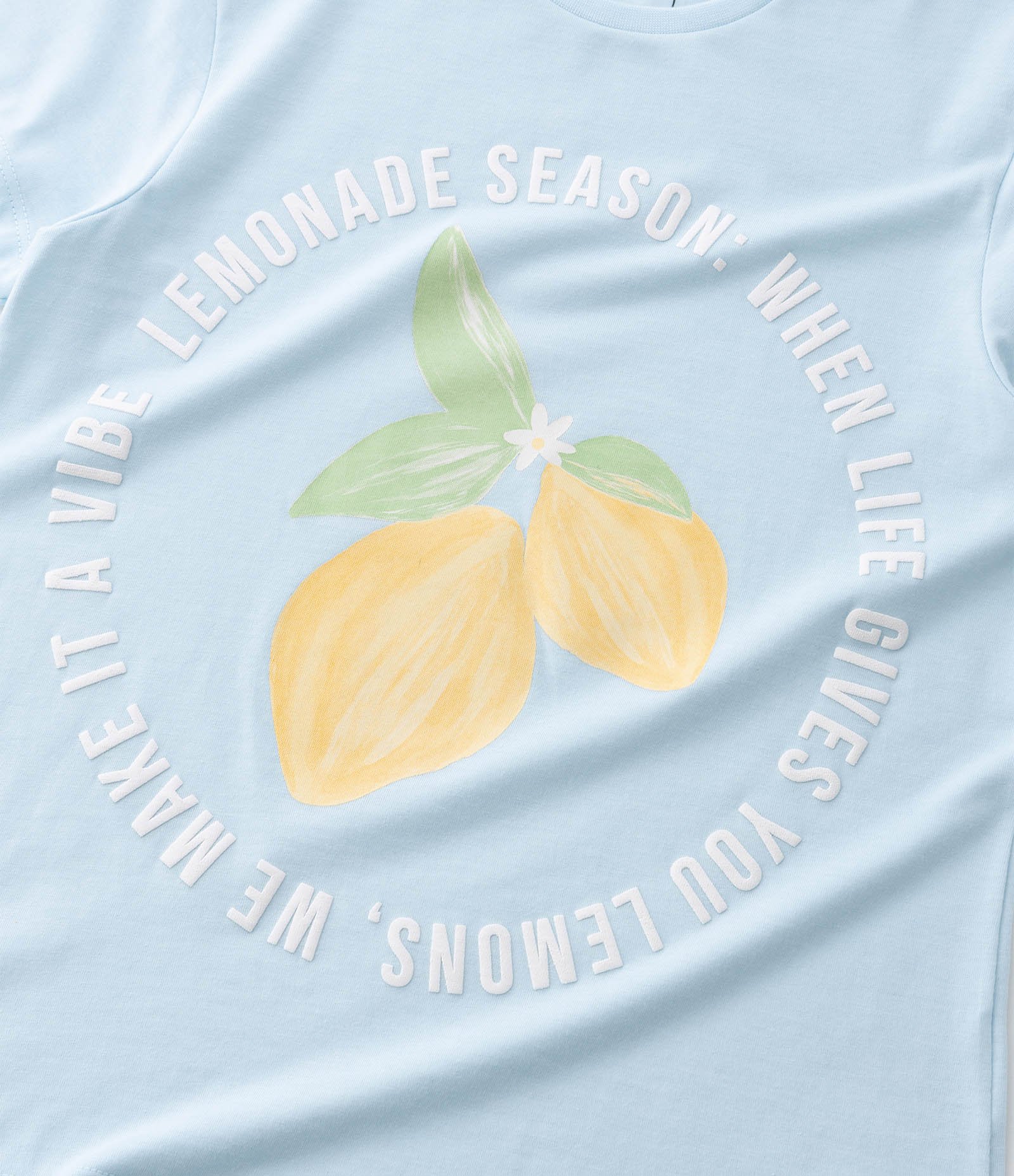 Camiseta Regular Infantil com Estampa de Limão Siciliano - Tam 5 a 14 anos Azul 5