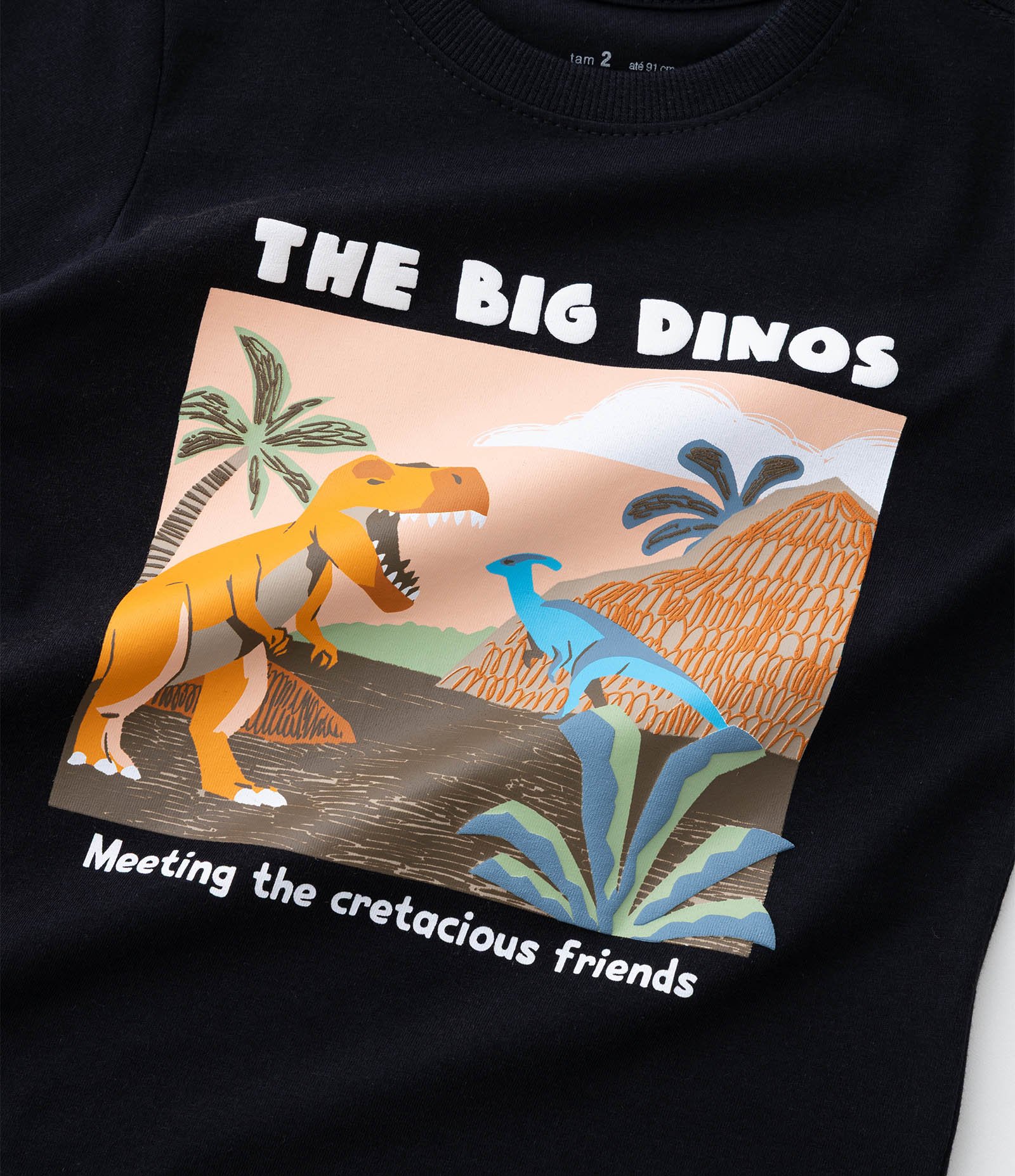 Camiseta Infantil com Estampa Dinossauros - Tam 1 a 6 Anos Preto 5