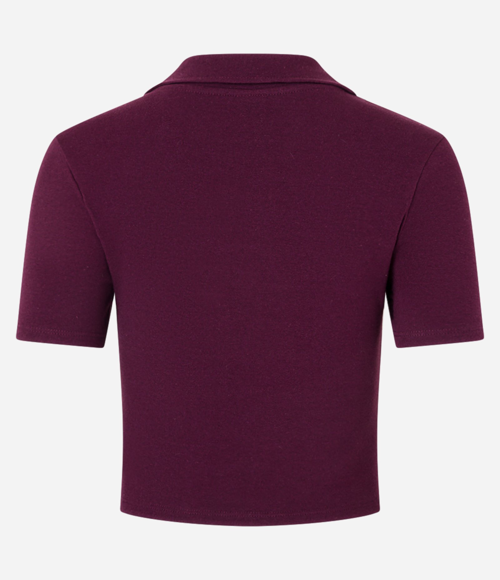 Blusa em Ribana com Gola Polo e Manga Curta Bordô 5