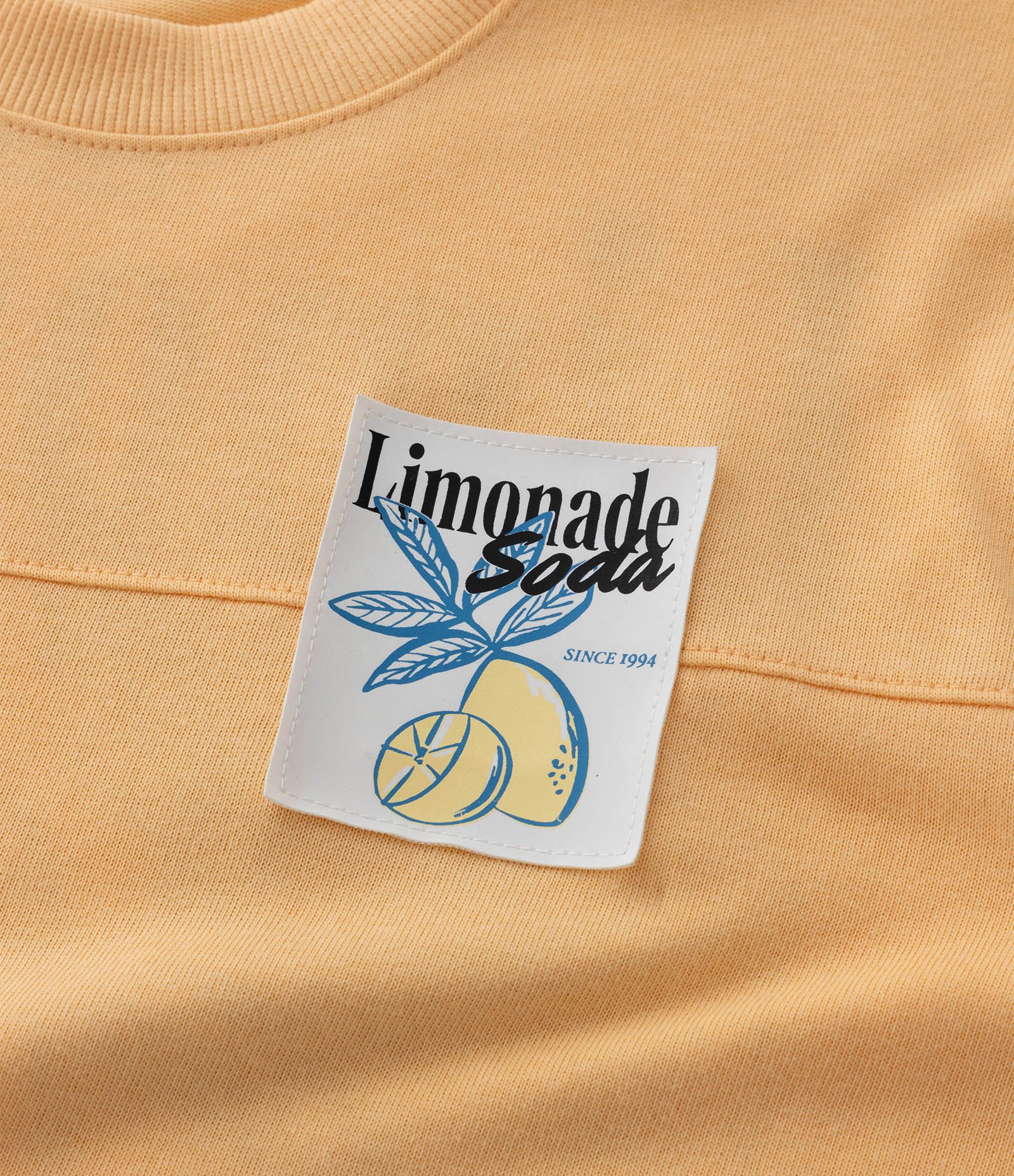 Camiseta Infantil com Estampa Frente e Costas Limonada - Tam 5 a 14 Anos Amarelo 6