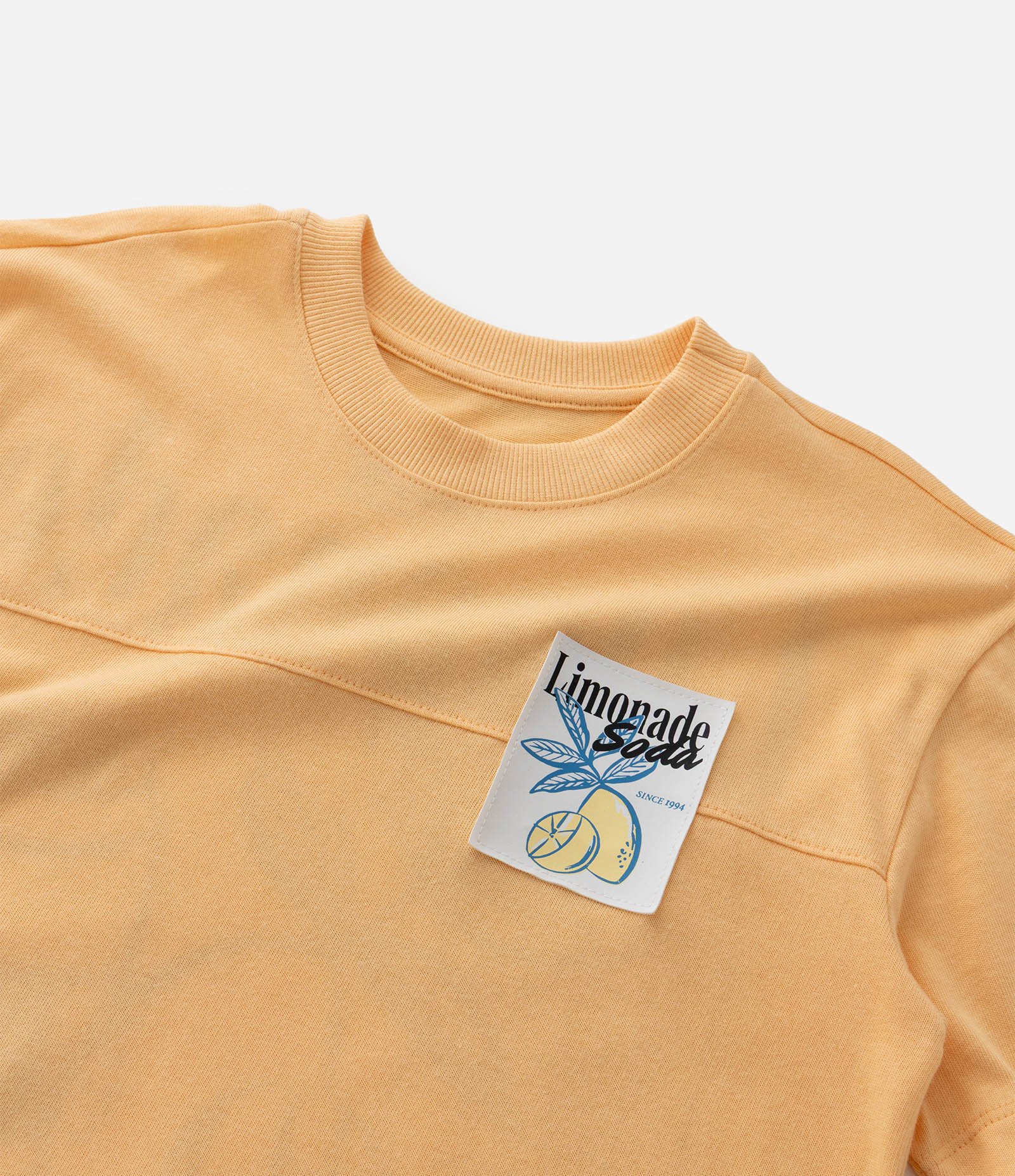 Camiseta Infantil com Estampa Frente e Costas Limonada - Tam 5 a 14 Anos Amarelo 7