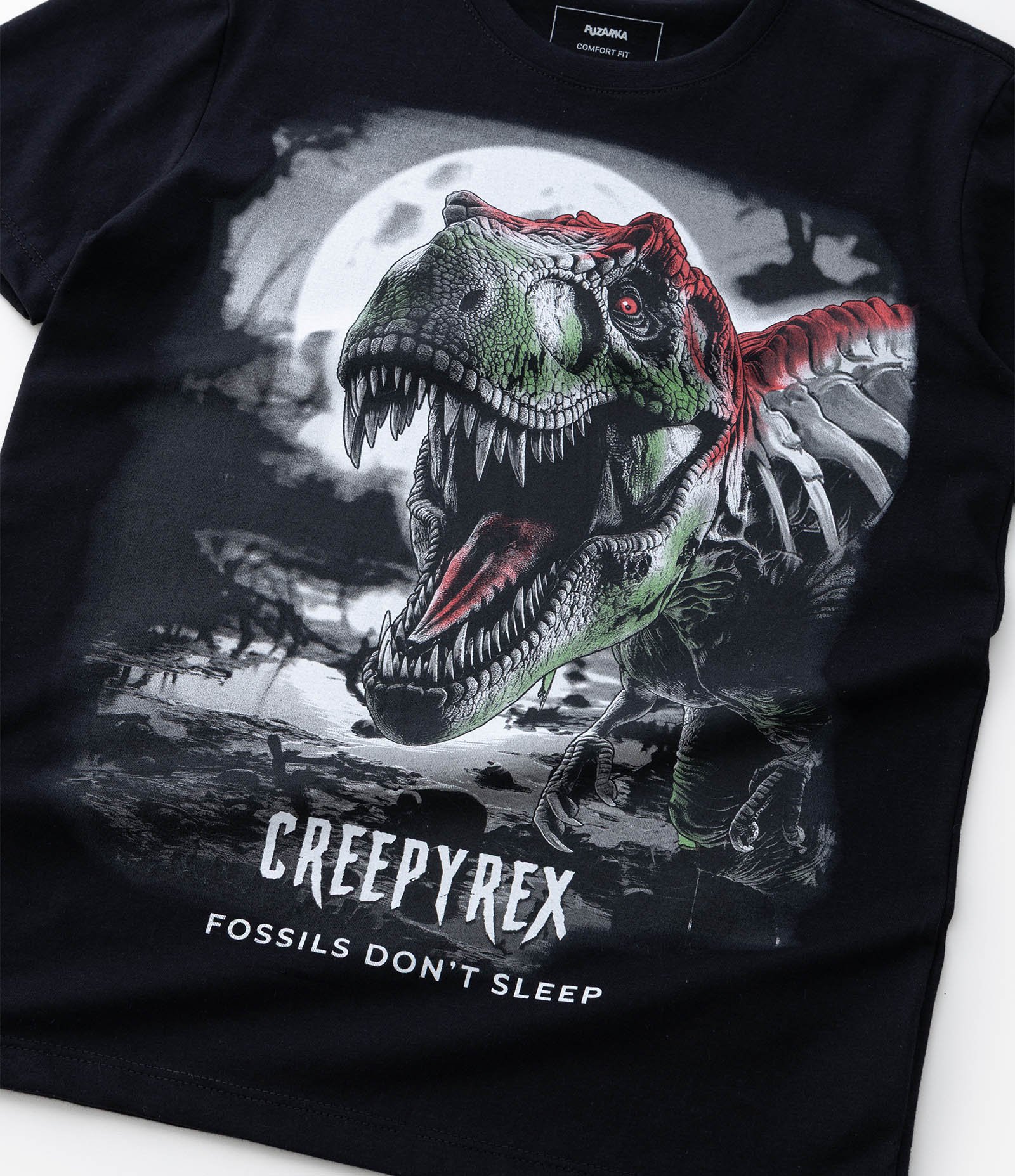 Camiseta Infantil com Estampa Dinossauro - Tam 5 a 14 Anos Preto 5