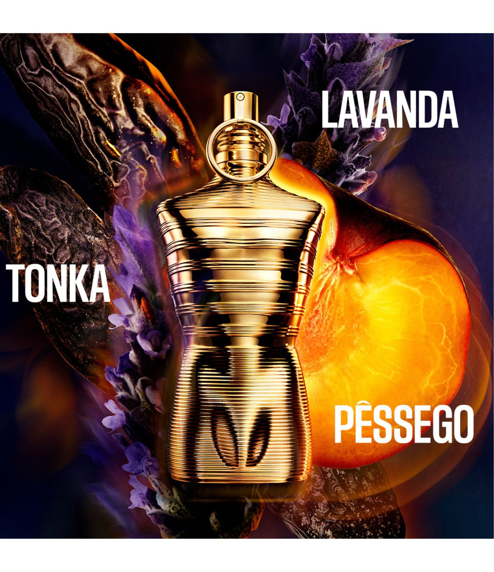 Le Male Elixir Absolu Parfum Intense Masculino Jean Paul Gaultier  125ML 4