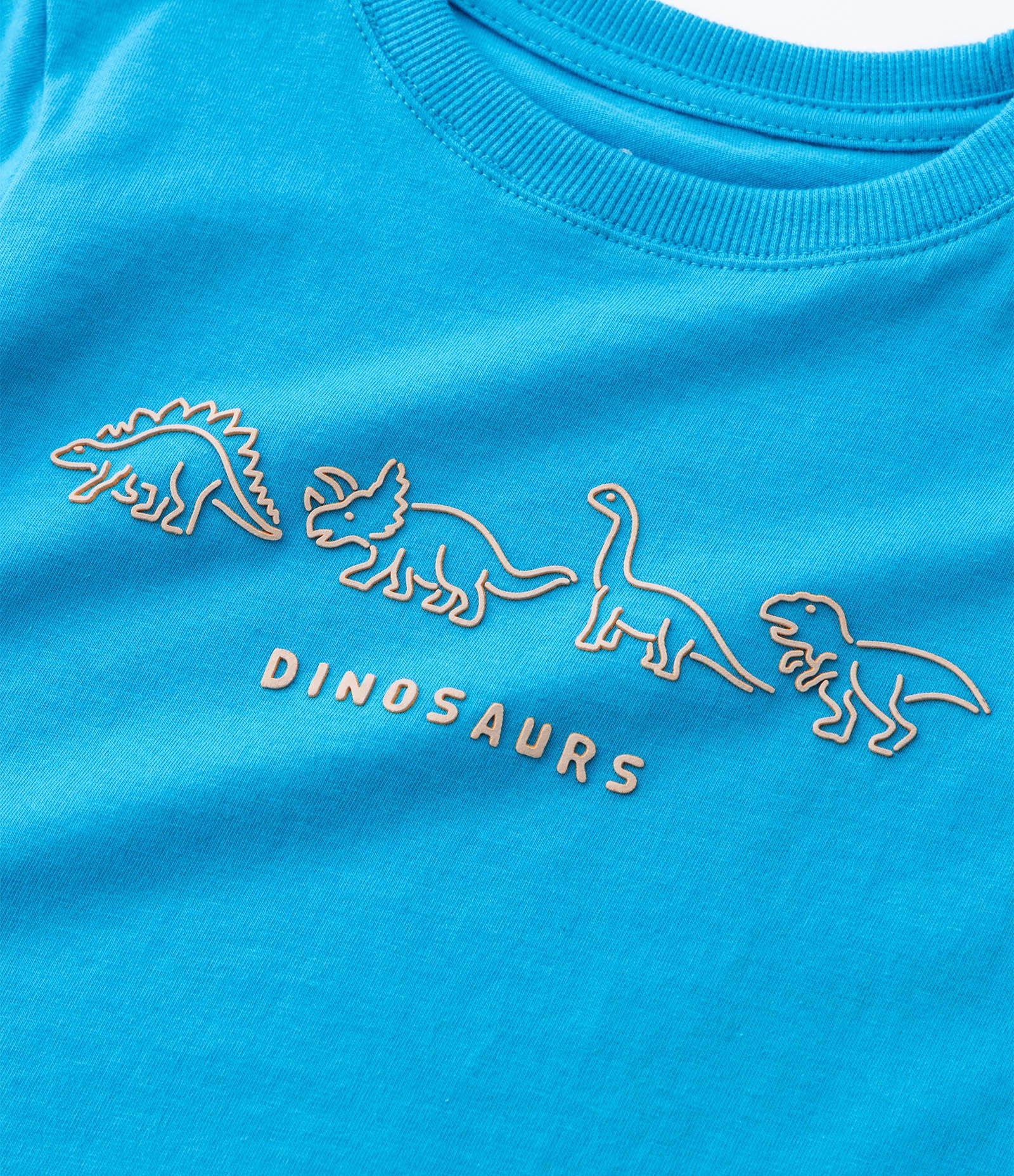 Camiseta Infantil com Estampa Relevo de Dinos - Tam 1 a 6 anos Azul 5